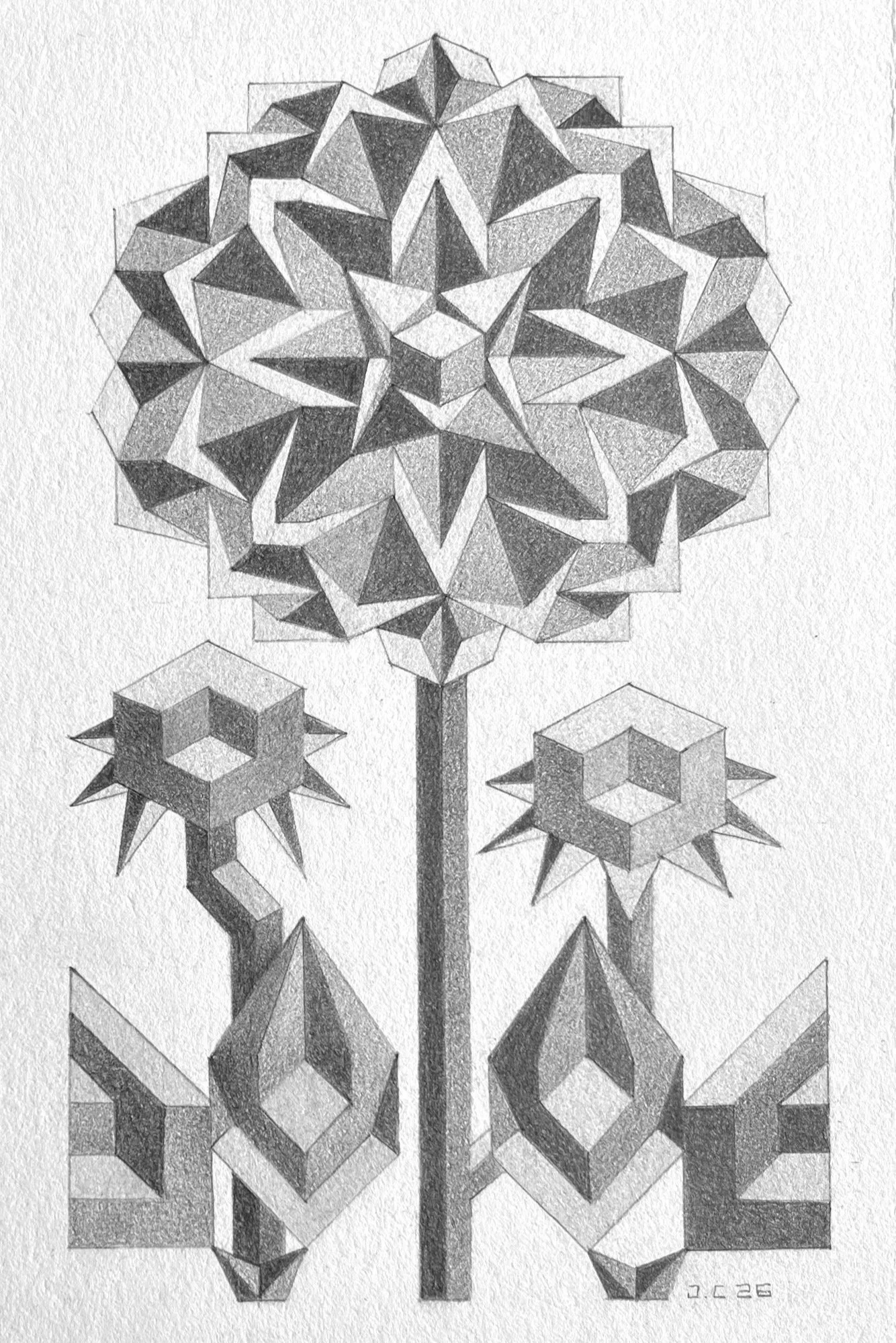 Dahlia: Graphite on 300lb Hot Press Paper- 4”x6”- 2026