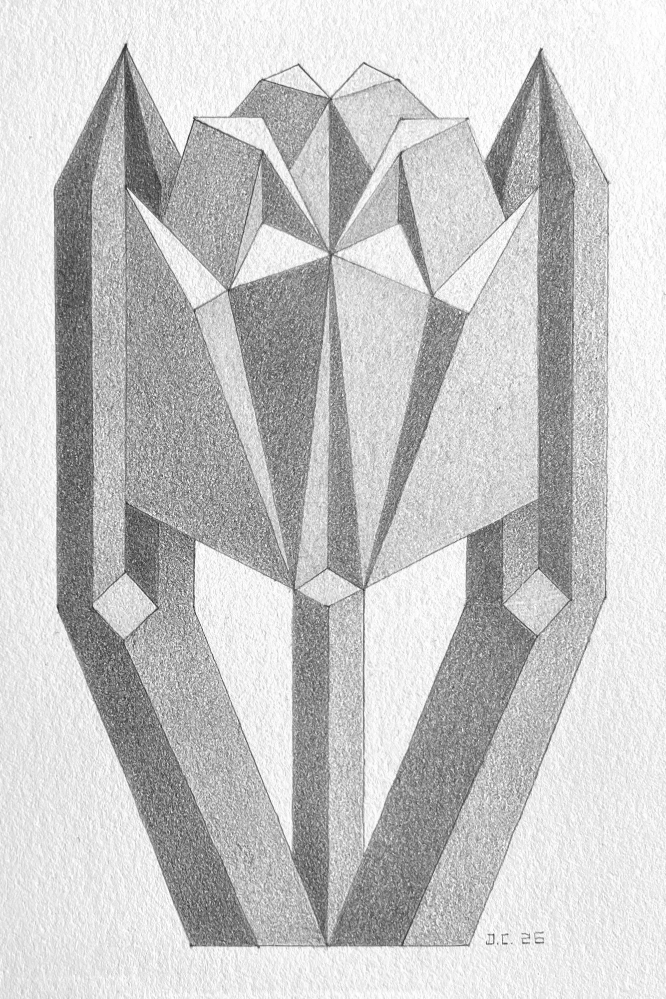 Tulip: Graphite on 300lb Hot Press Paper- 4”x6”- 2026