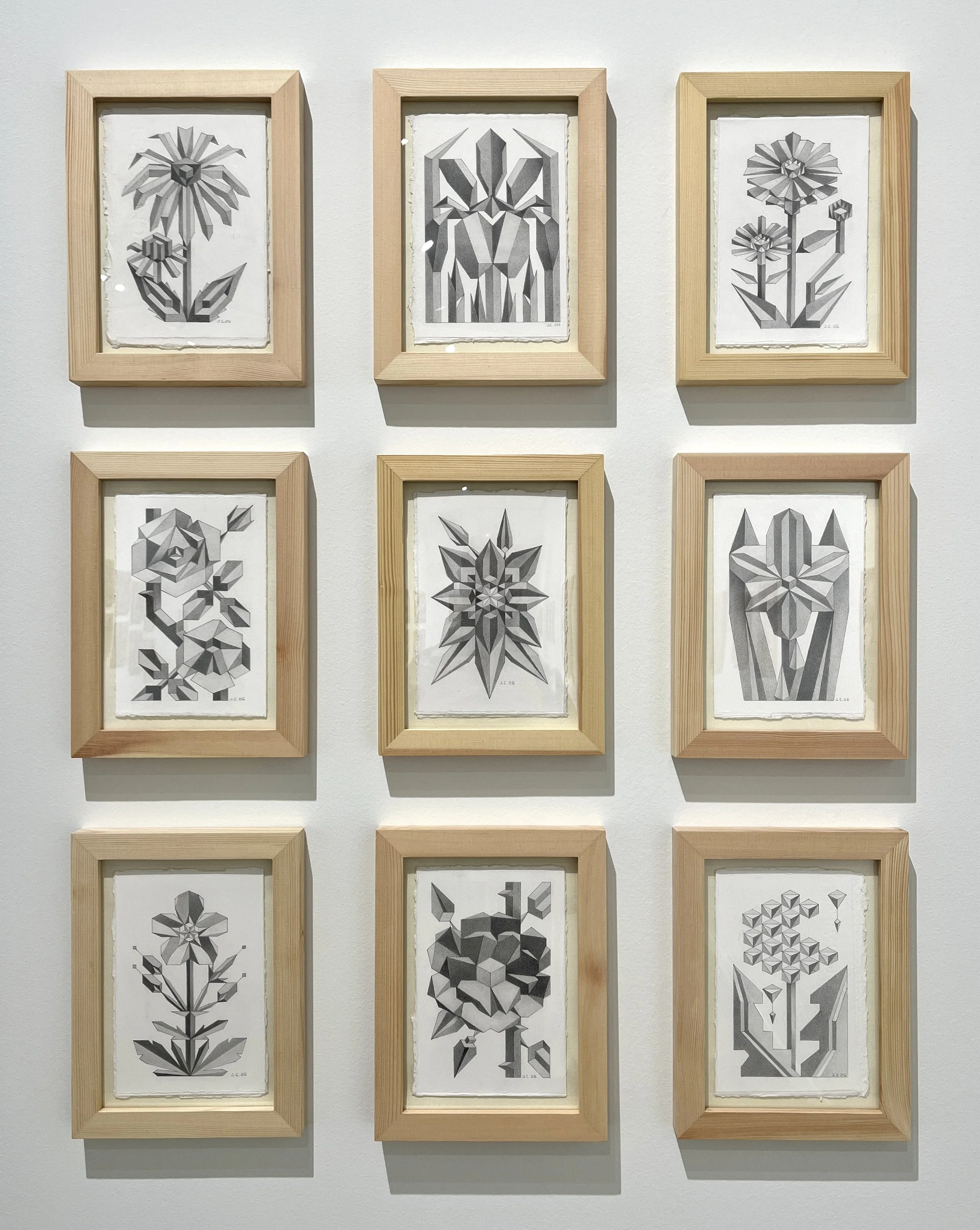 Floral Studies: Graphite on 300lb Hot Press Water Color Paper- Nine 4”x6” drawings- 2026