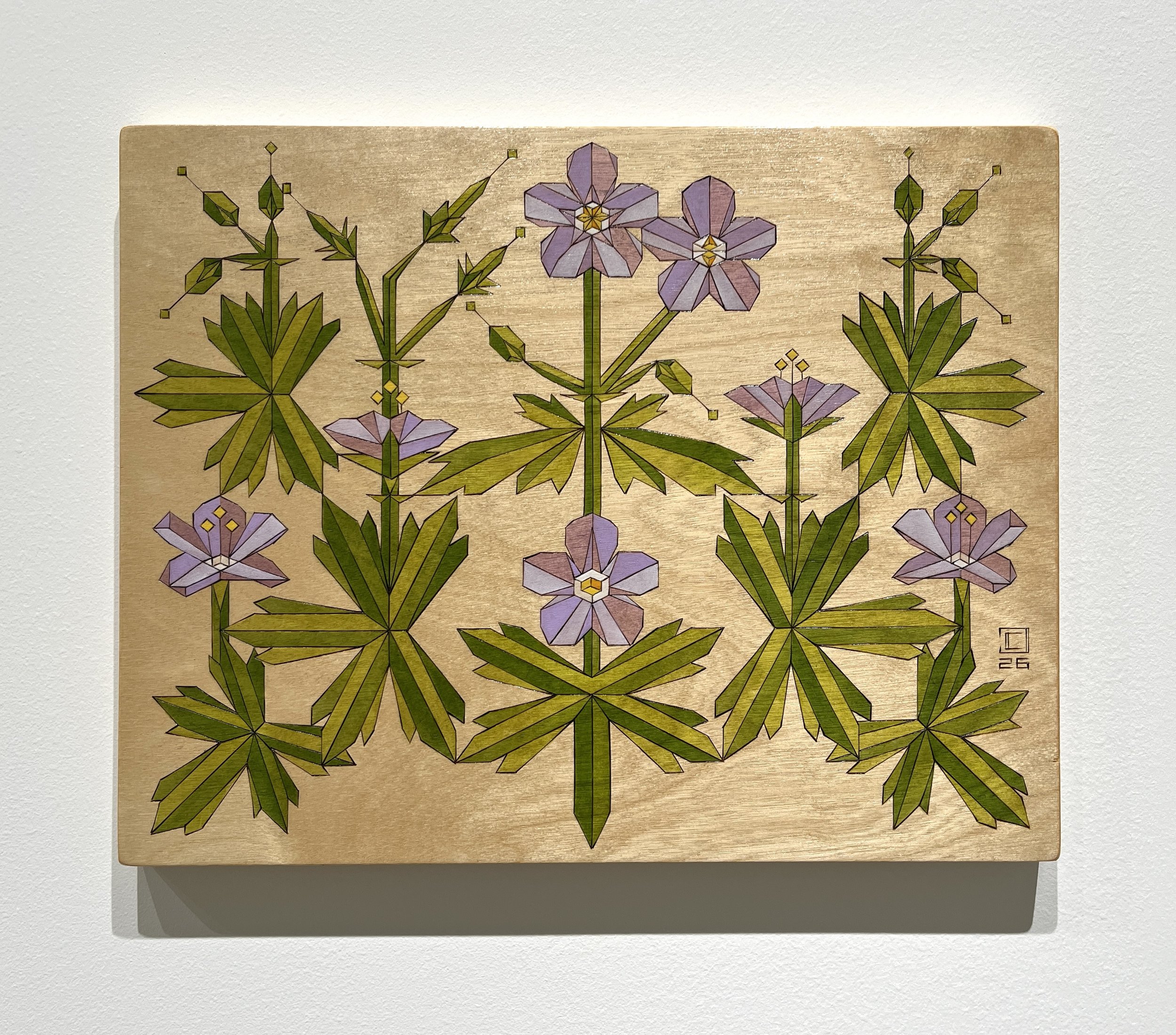 Wild Geraniums Version 2: Pyrography and Oil on Birch Panel- 14”x11”- 2026