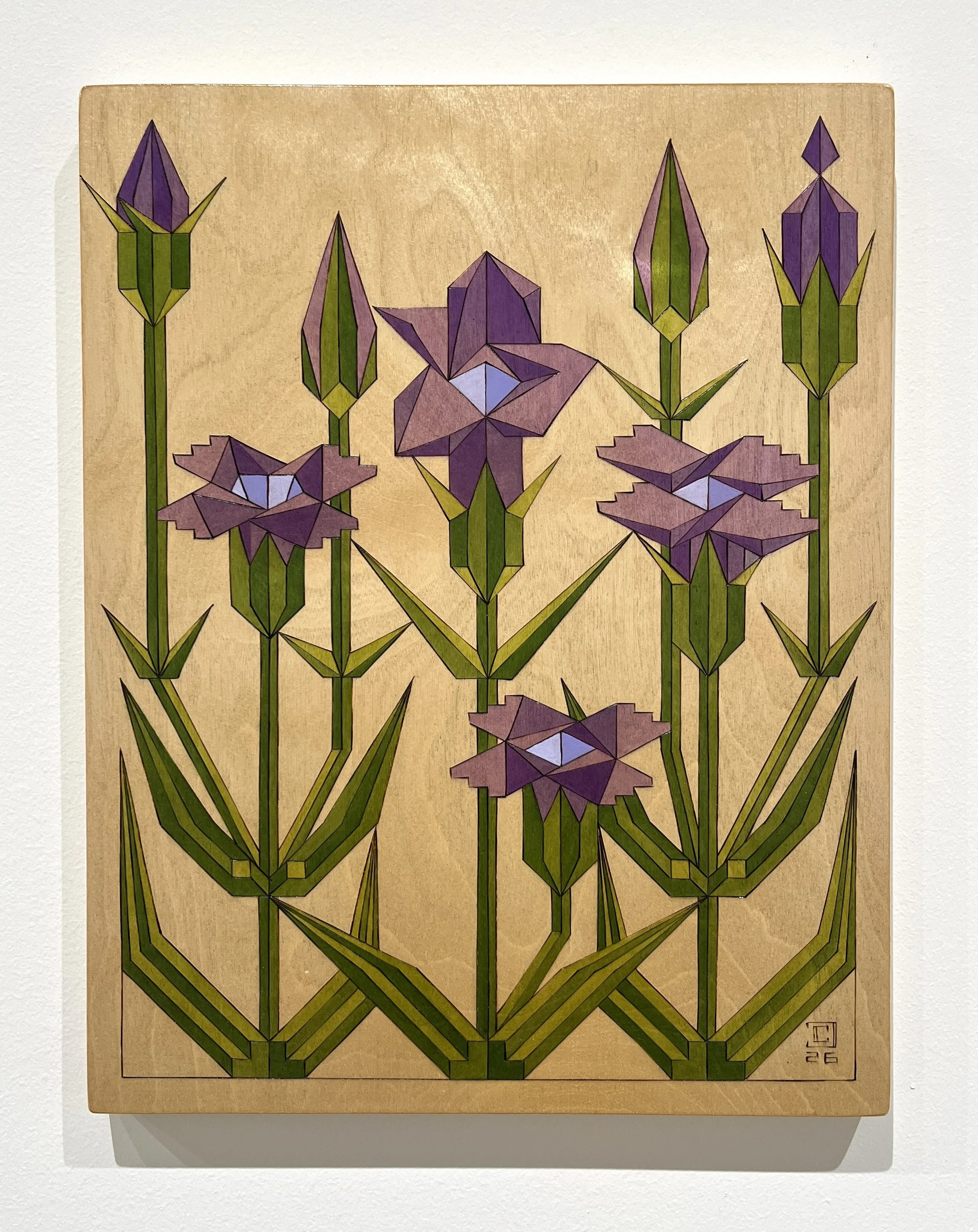 Fringed Gentian: Pyrography and Oil on Birch Panel- 11”x14”- 2026