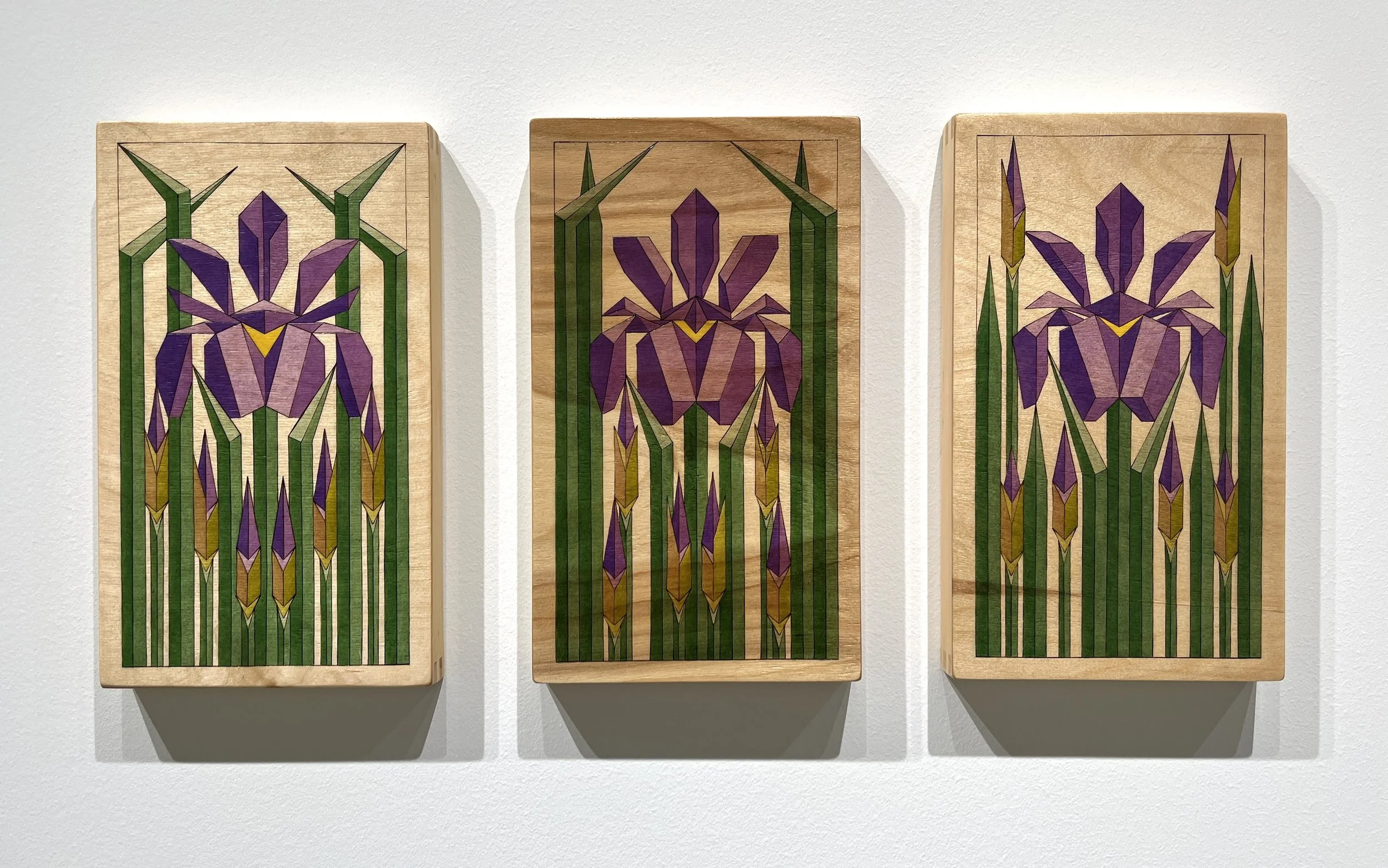 Siberian Iris Tiles: Pyrography and Oil on Birch-

Three 7”x12” panels- 2025