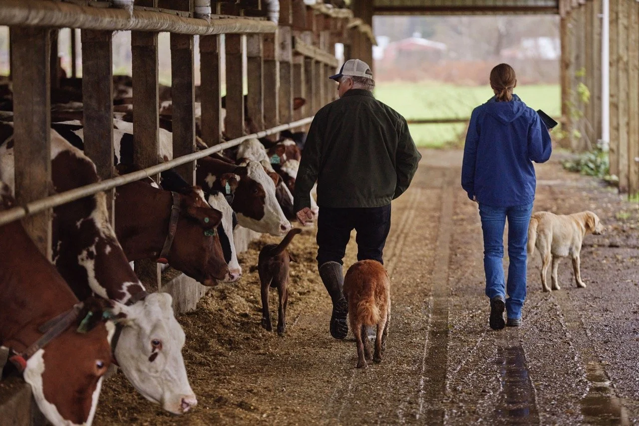 02_DIGITAL_Stewardship20_Farm_CowRow Large.jpeg