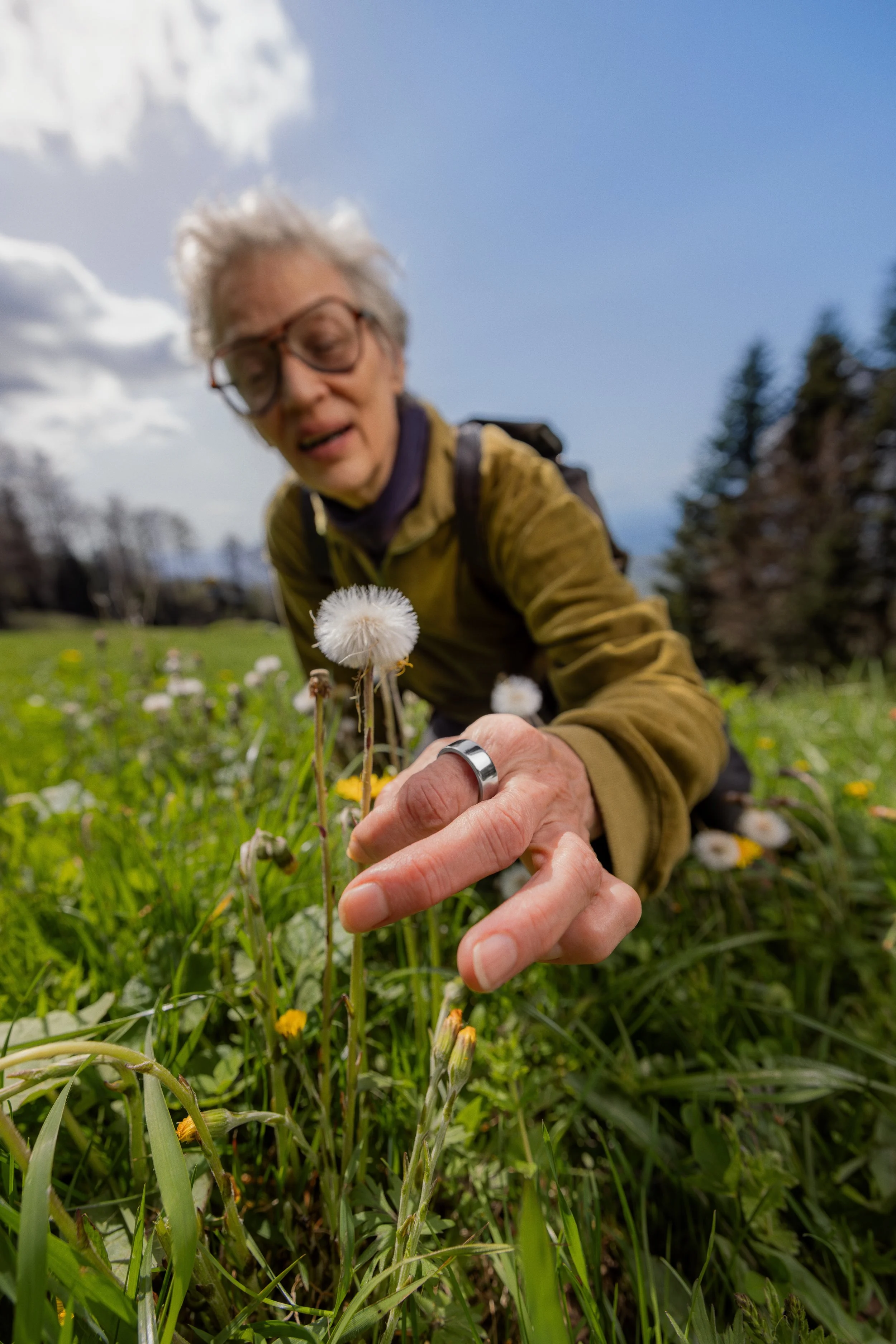 FY25_Brand_Hiking_Flower.jpg