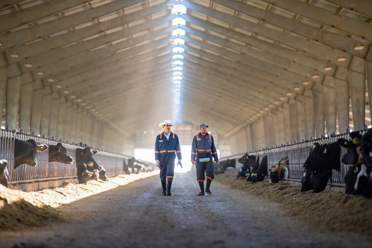 02_Digital_STE21_BOARDMAN_Barn_Farmers01 Large.jpeg