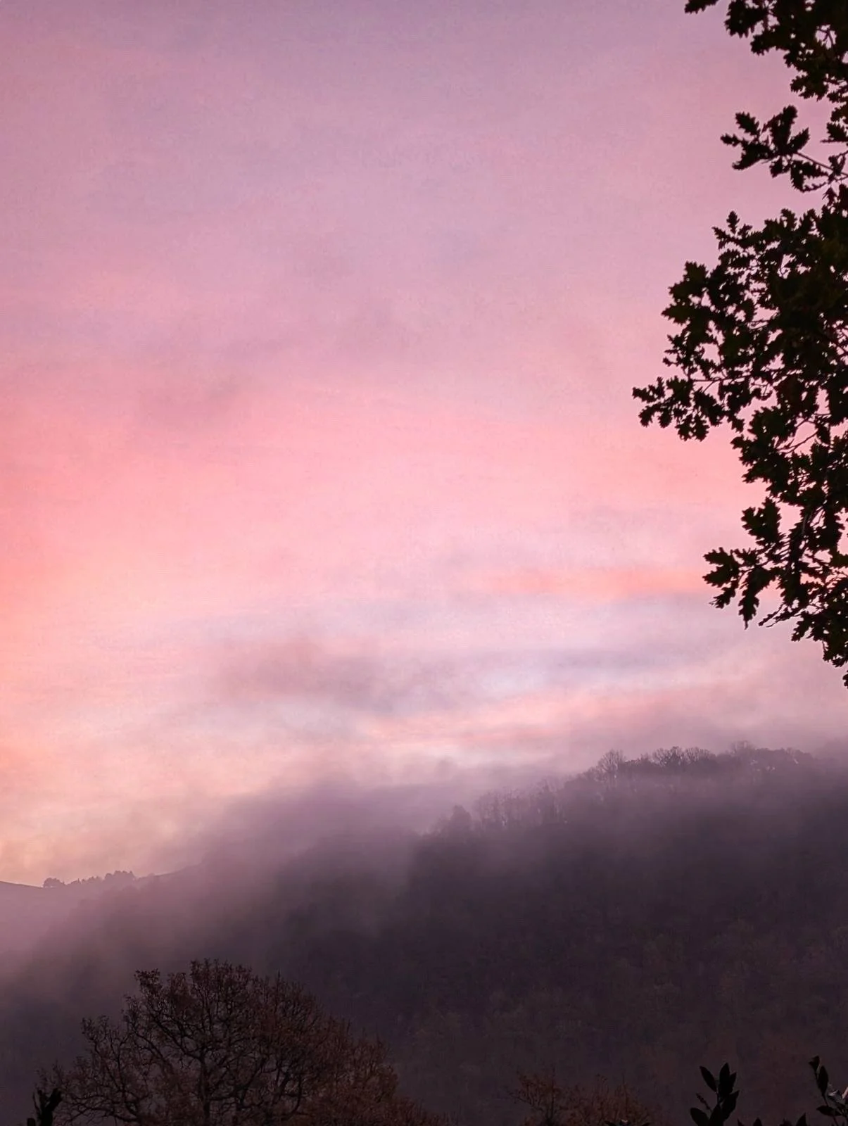 Winter Solstice 2025