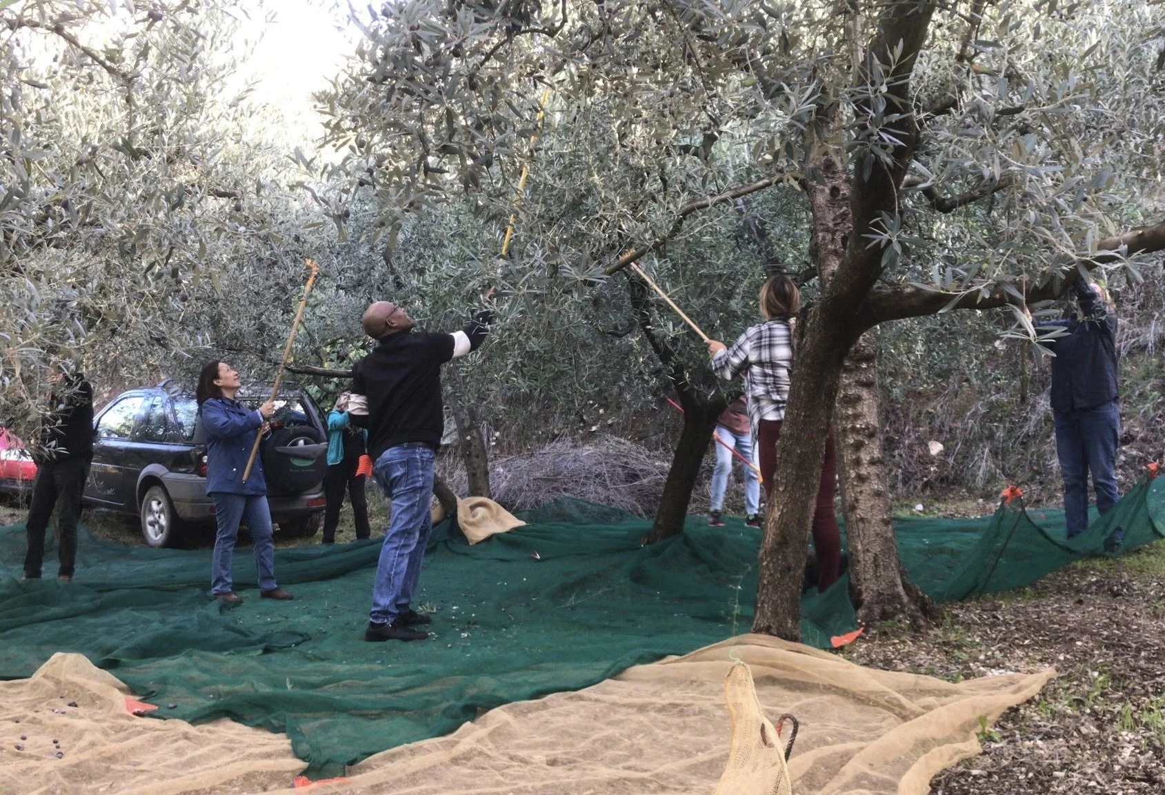 FINDING HOME <em>PART III: COMMUNITY</em>