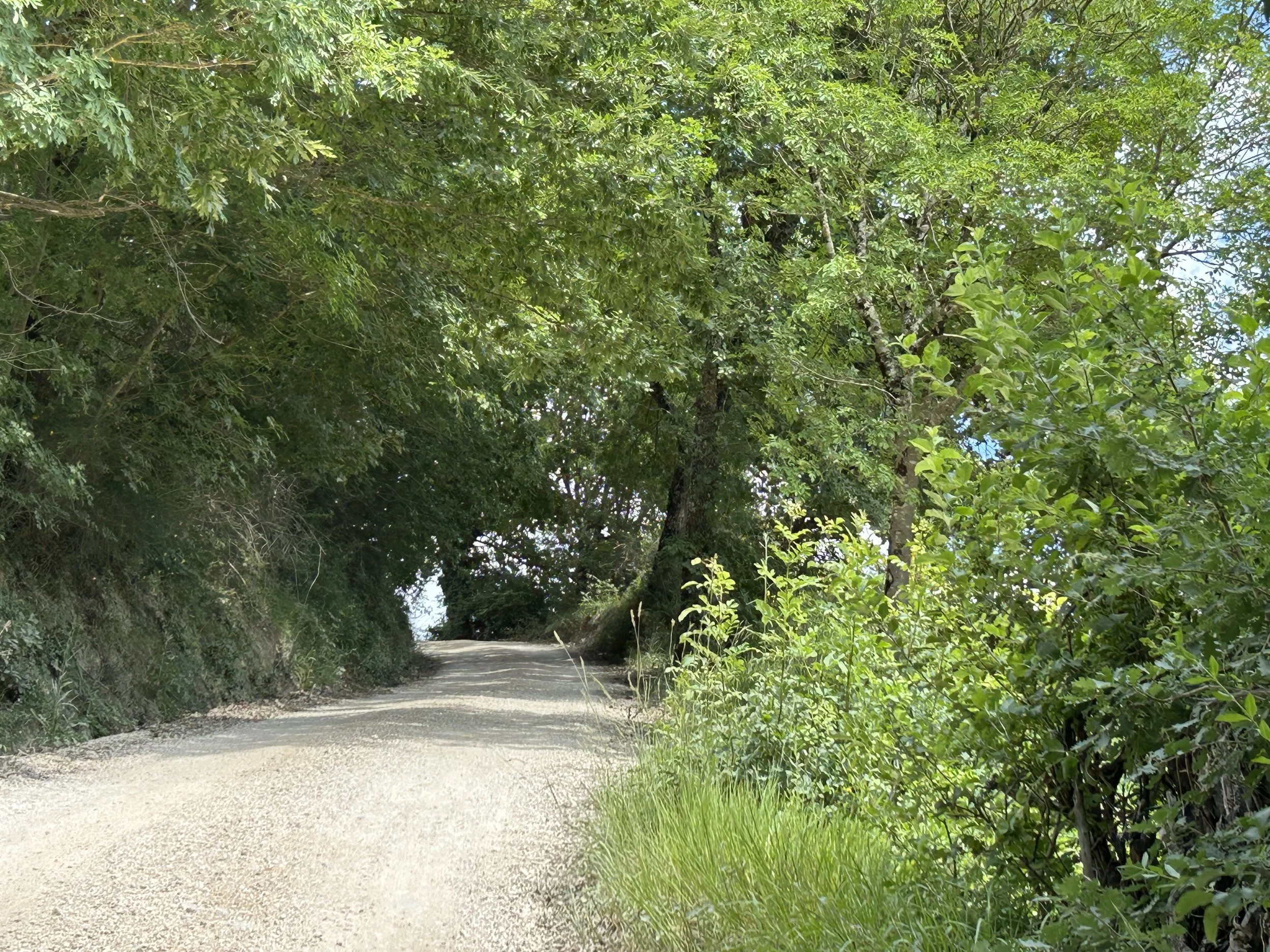 THE ROAD HOME