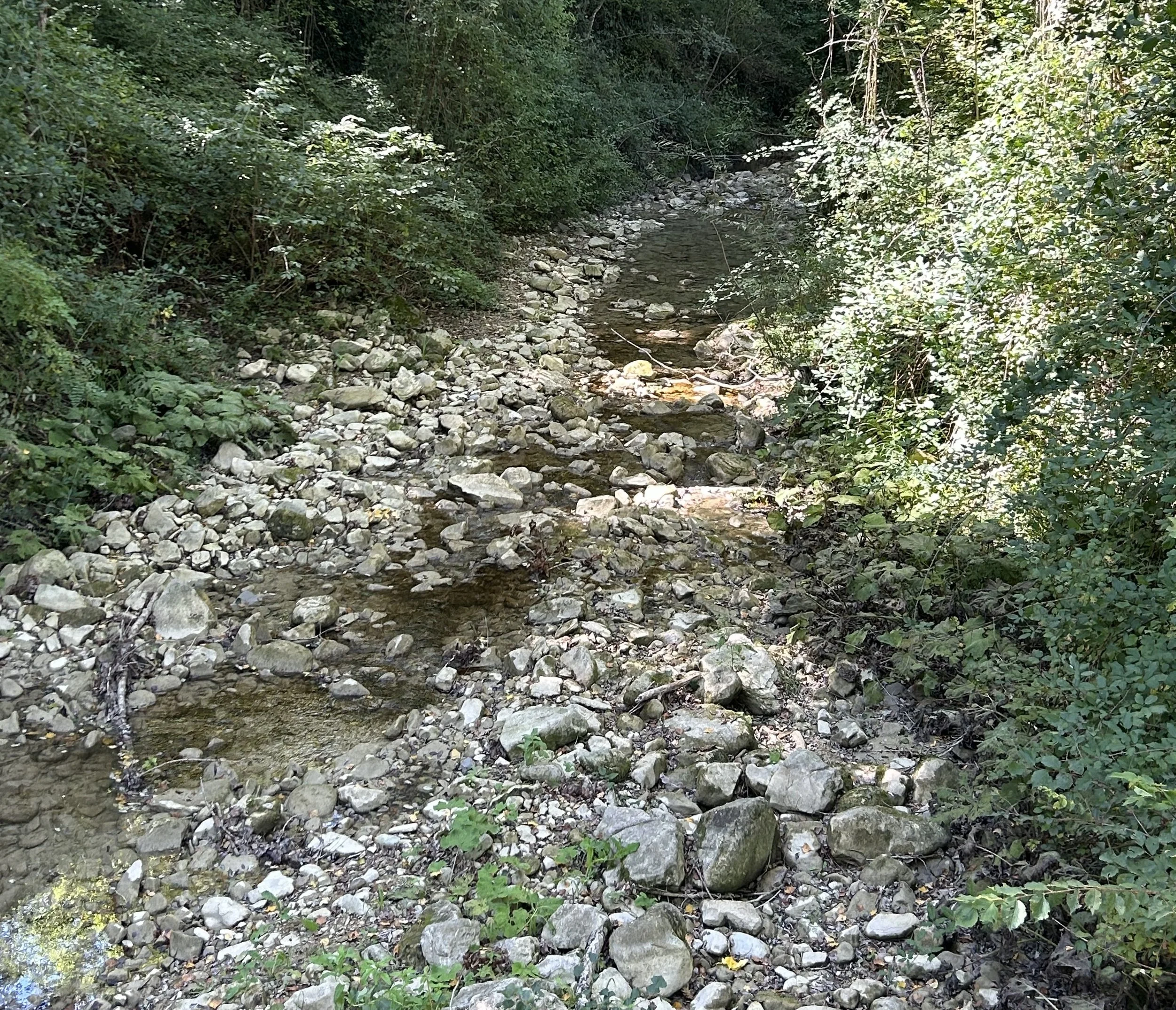 Enough Water <em>Part I</em>