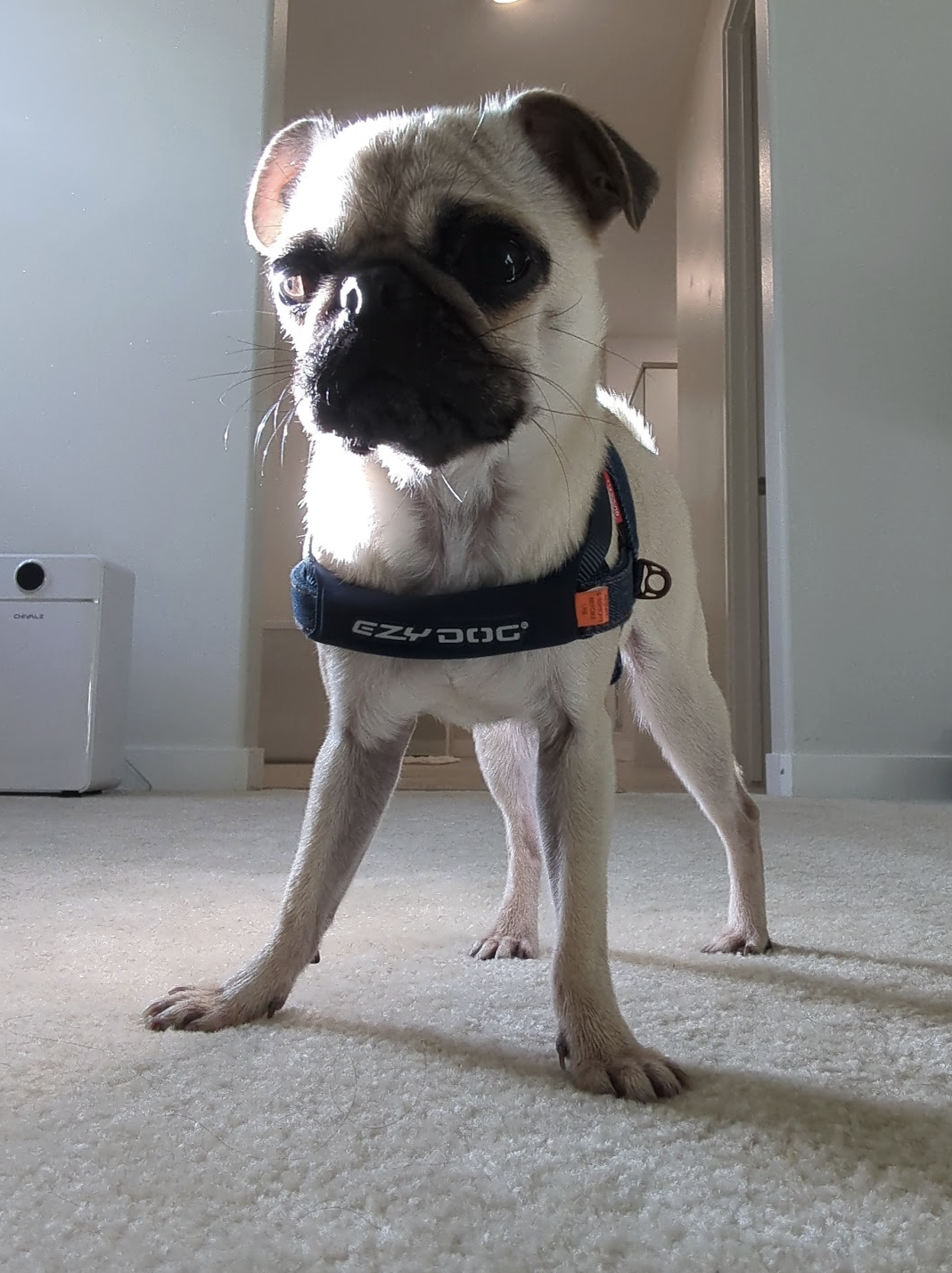 Screenshot 2026-01-28 at 2.34.48 PM.png