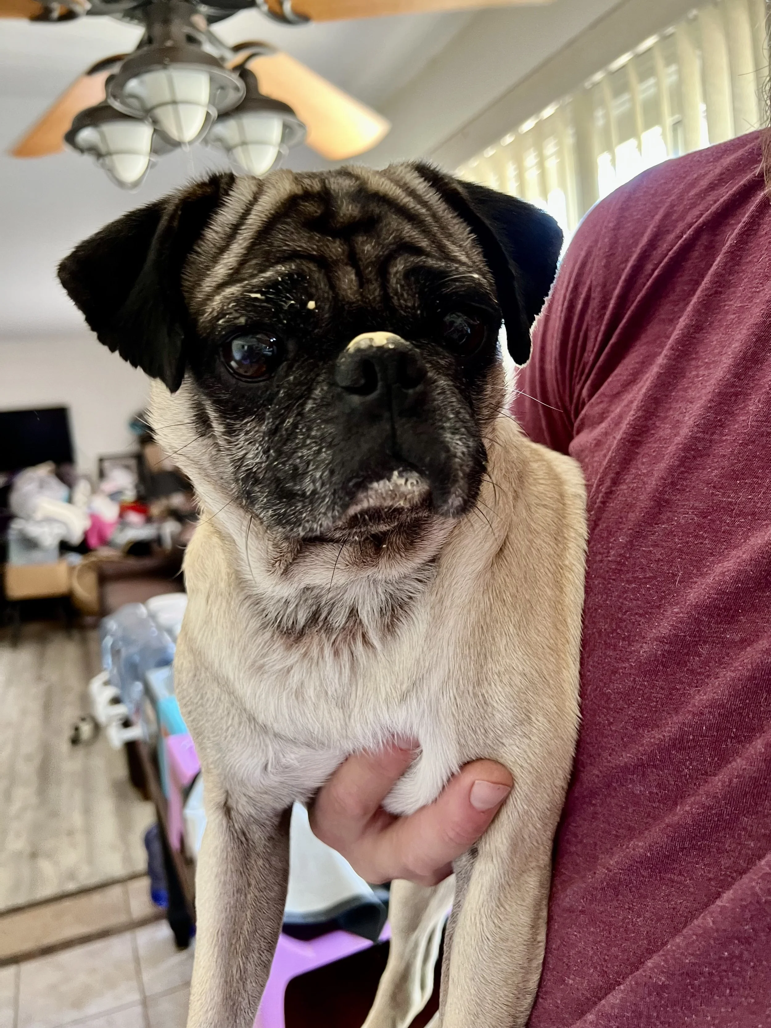 bert’s Adoption Story