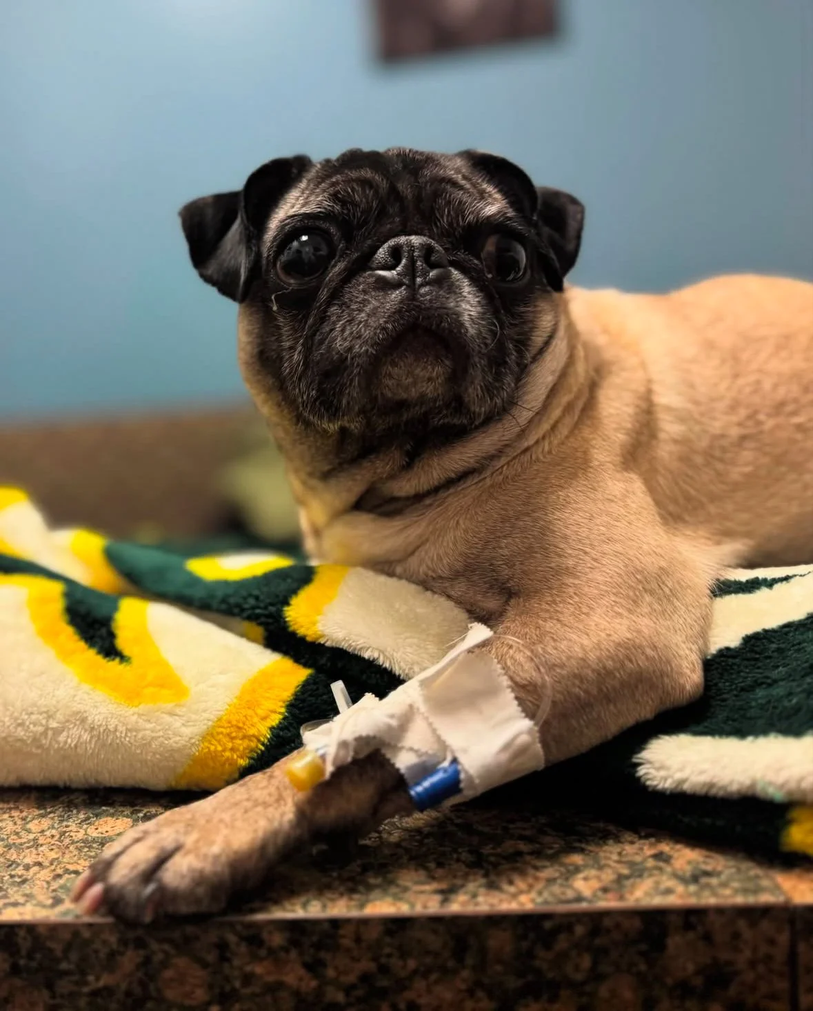 myrtle’s Adoption Story