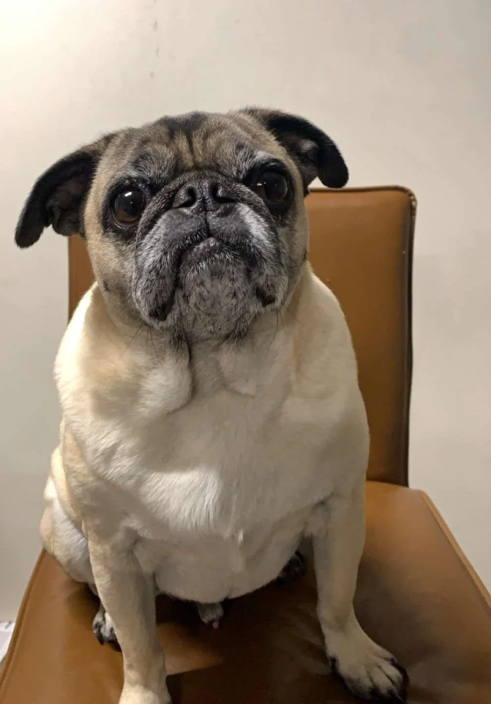 hudson’s Adoption Story