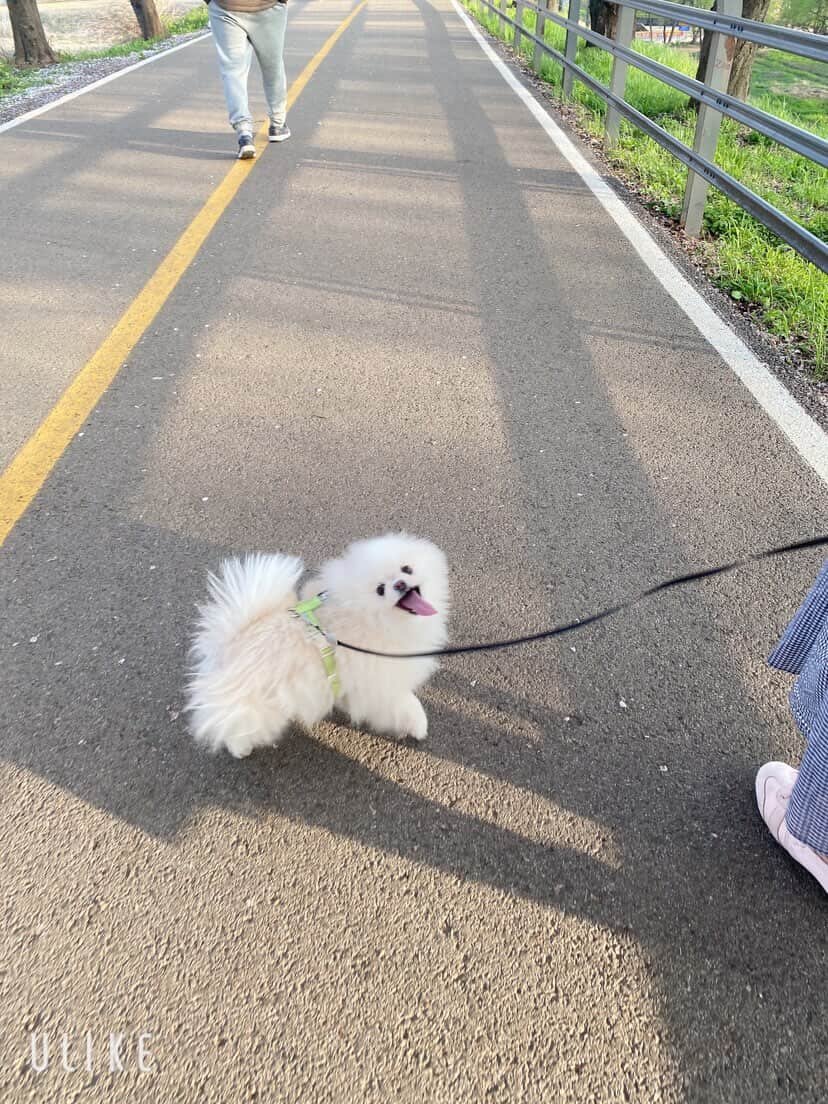 Gigil12.jpg
