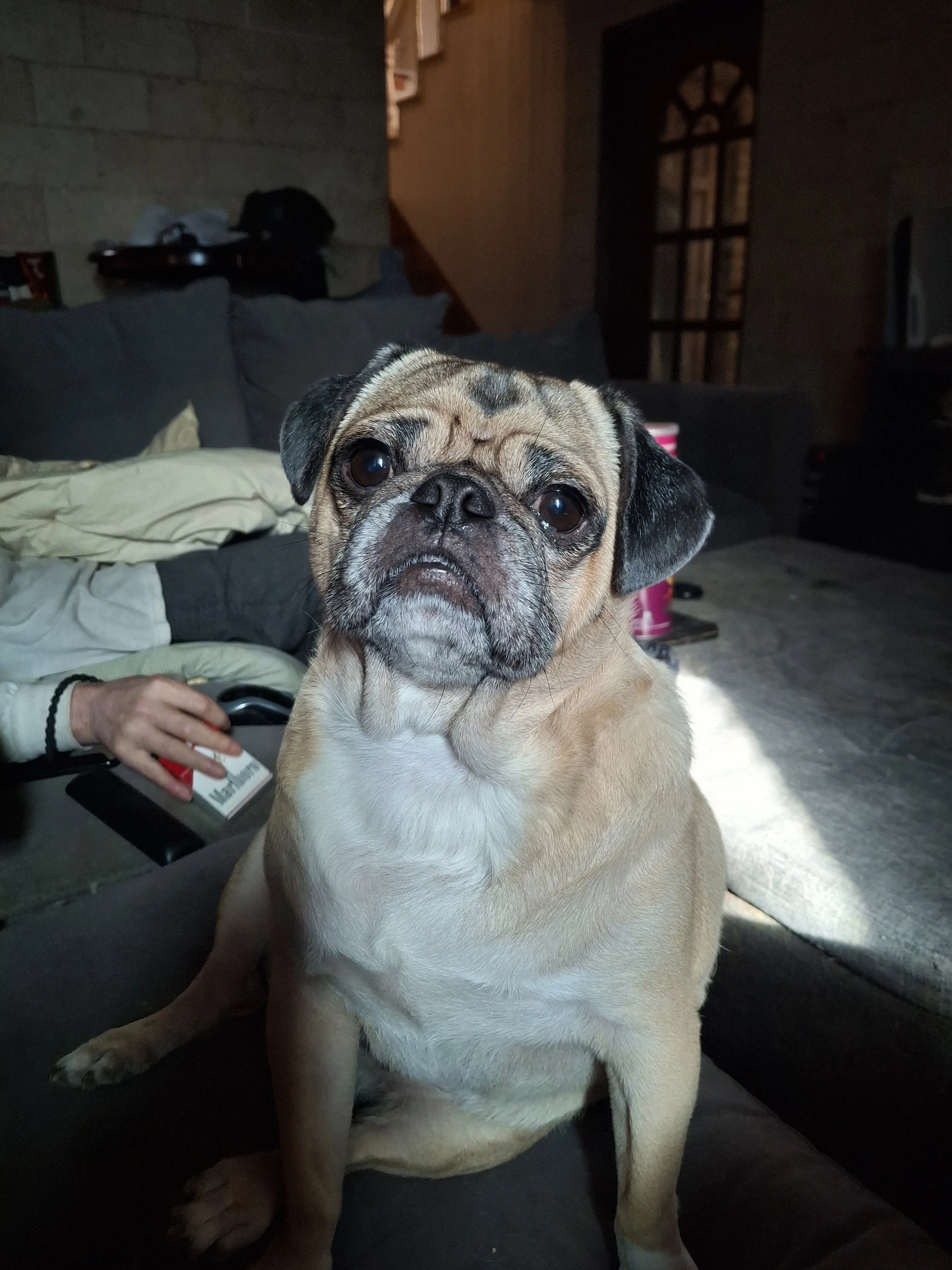 20260117_143317 (1).jpg