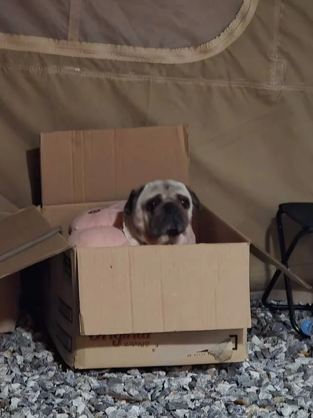 Banchan in a Box.jpg