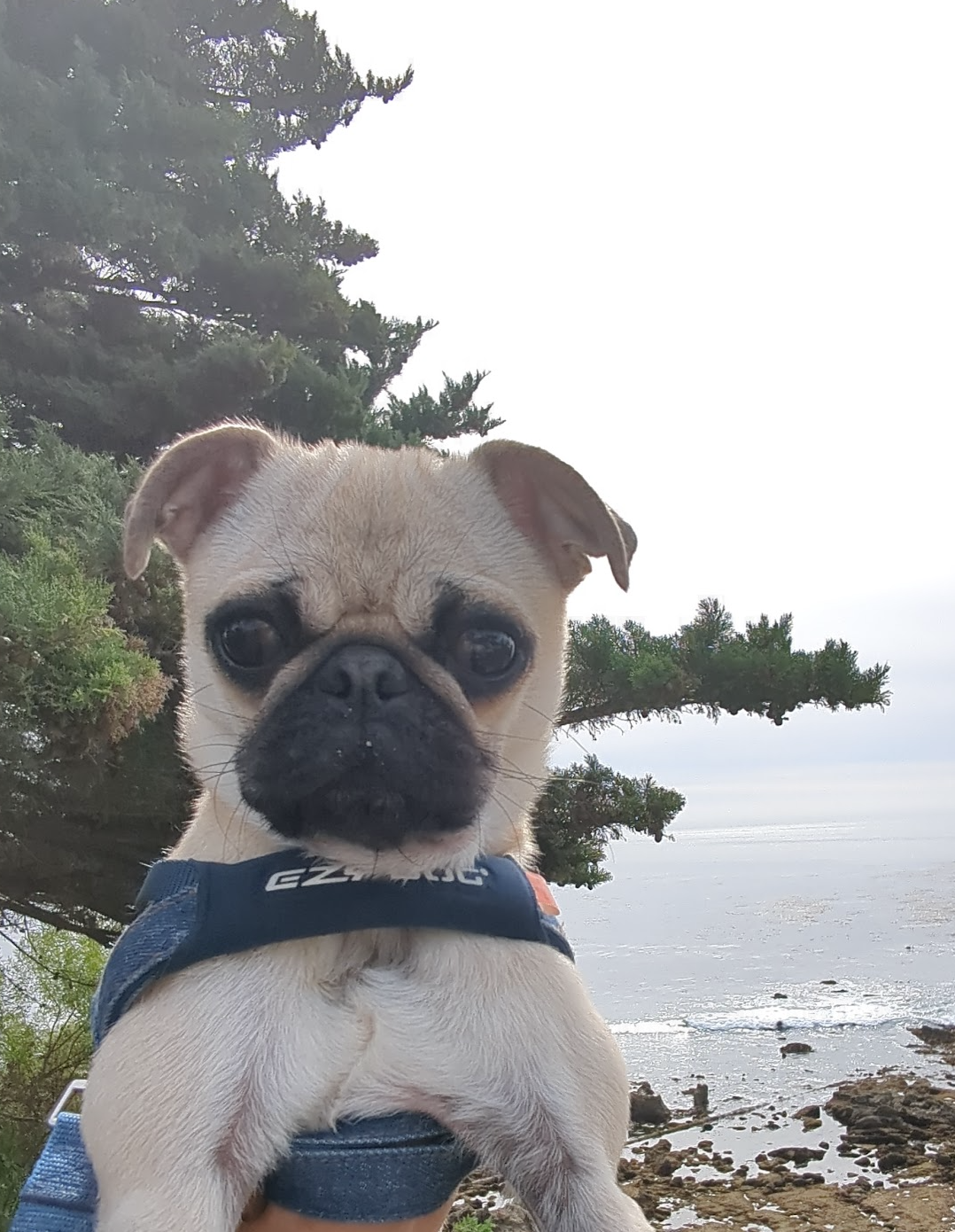 Screenshot 2026-01-28 at 2.29.17 PM.png