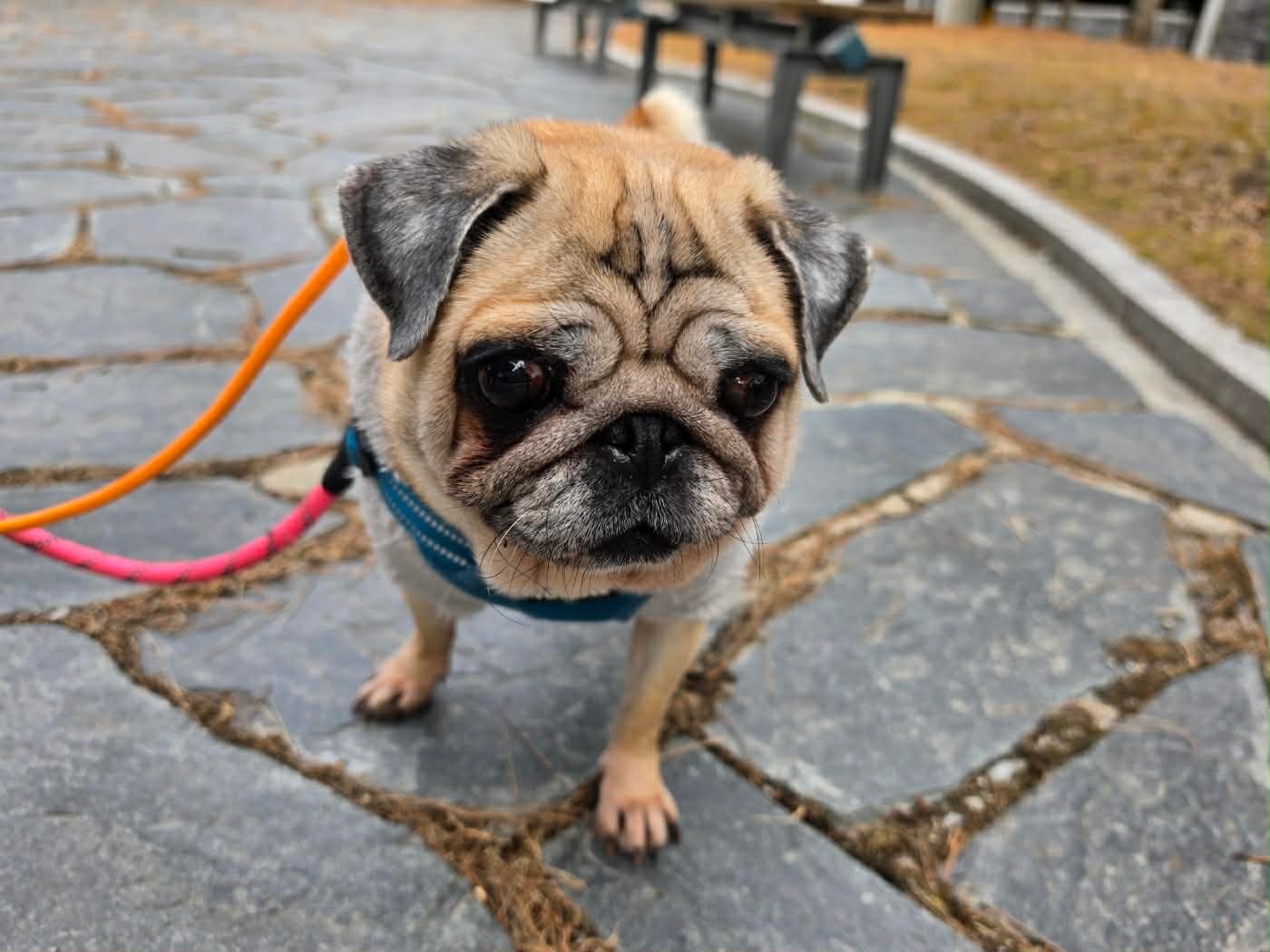 Iris leaving Korea2.JPEG