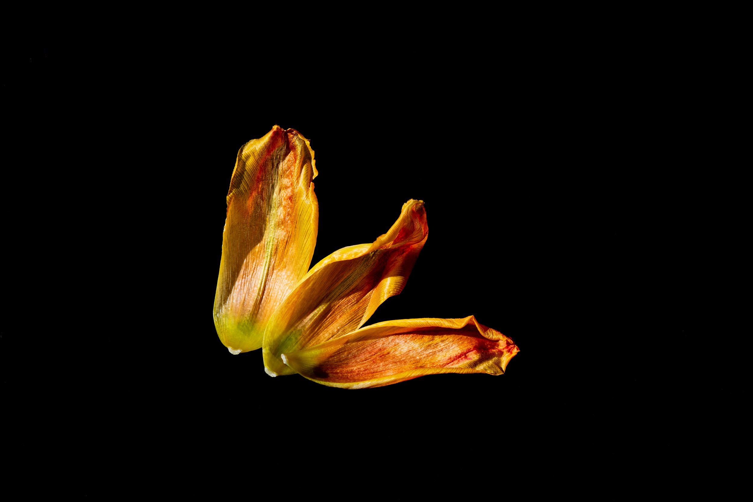 5C0A4963.jpg