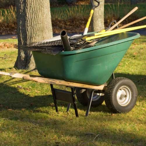 LawnCleanup.jpg