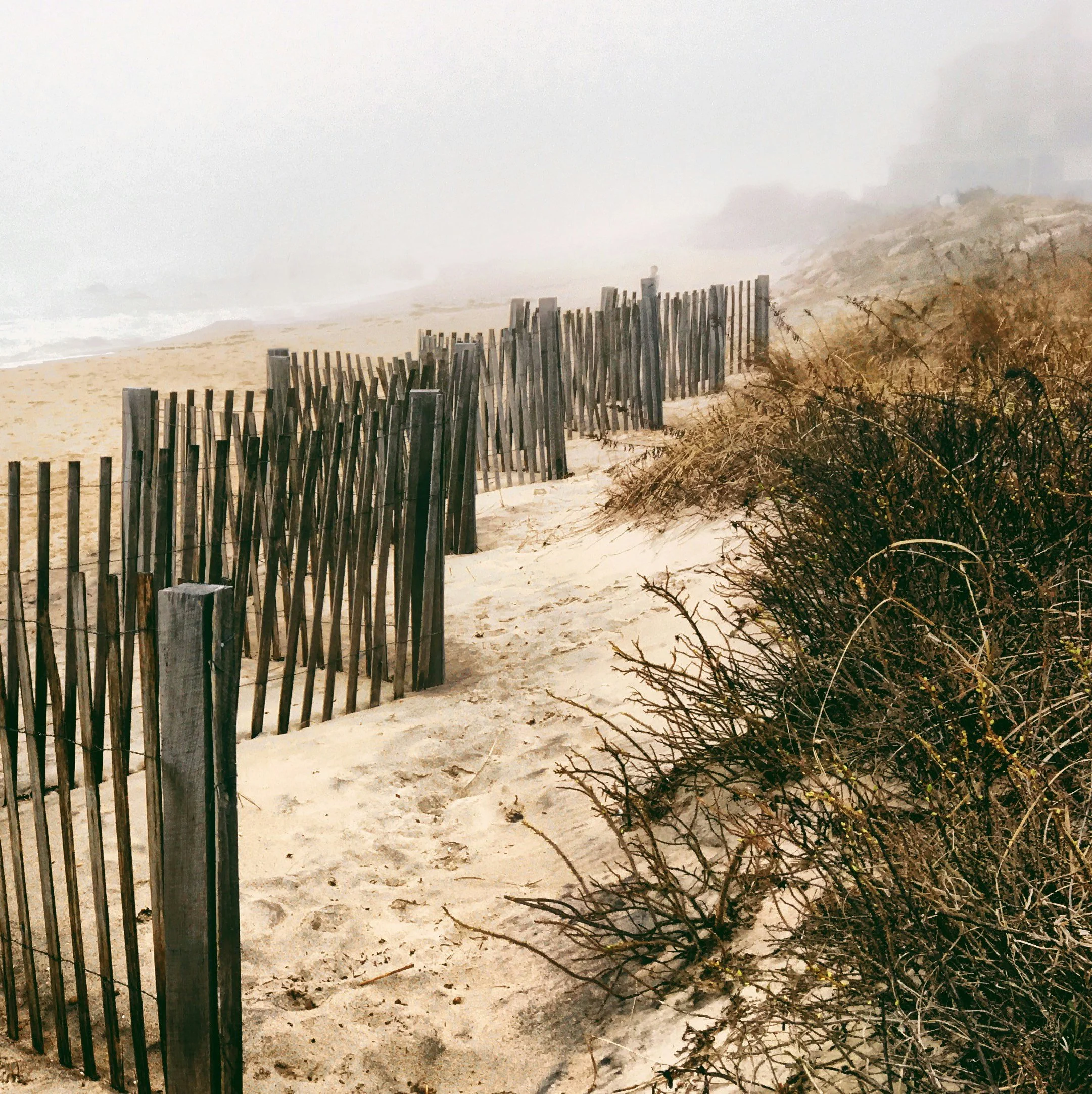 FogStripesLocationLifestyle.jpg