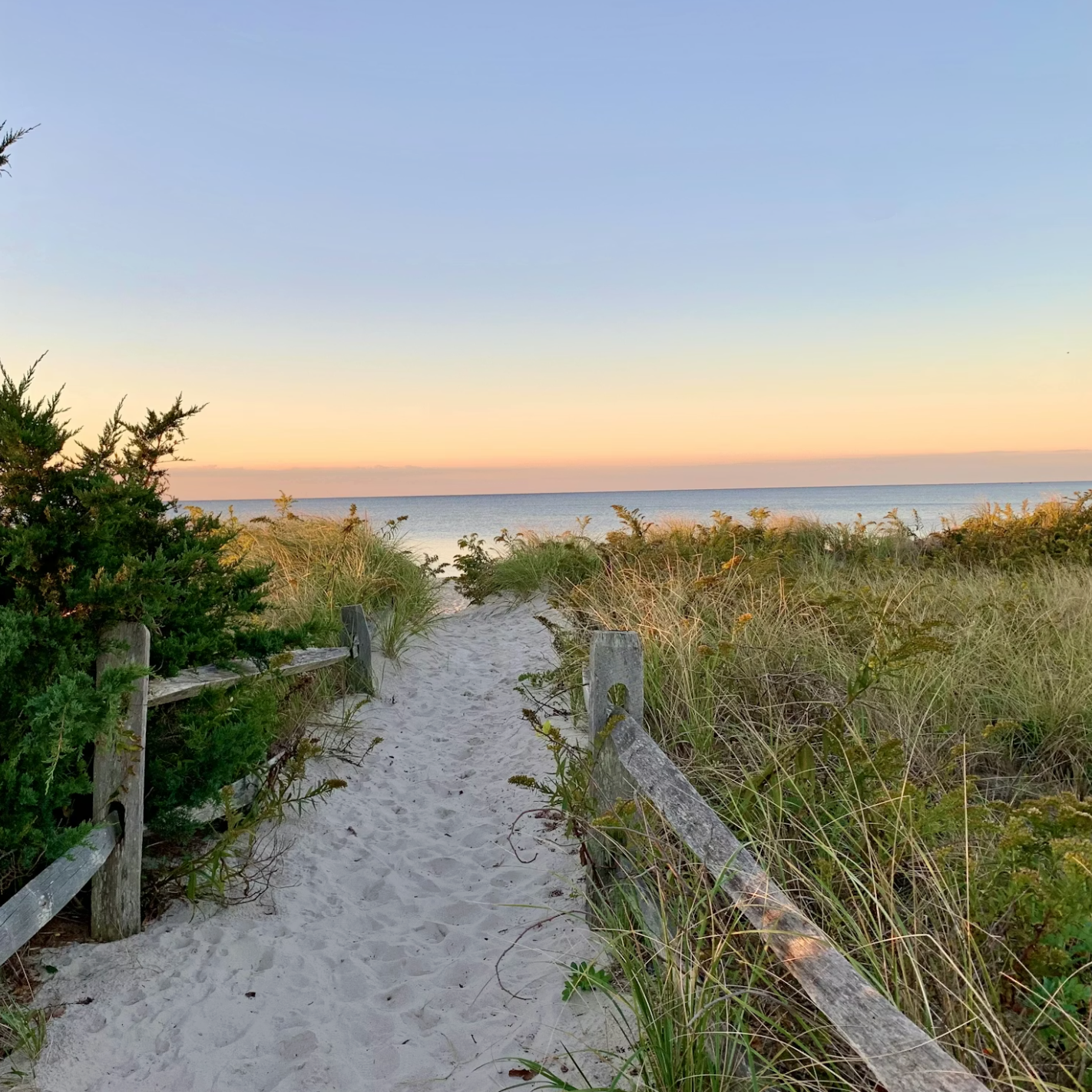 Screenshot 2026-04-03 at 6.13.21 PM.png