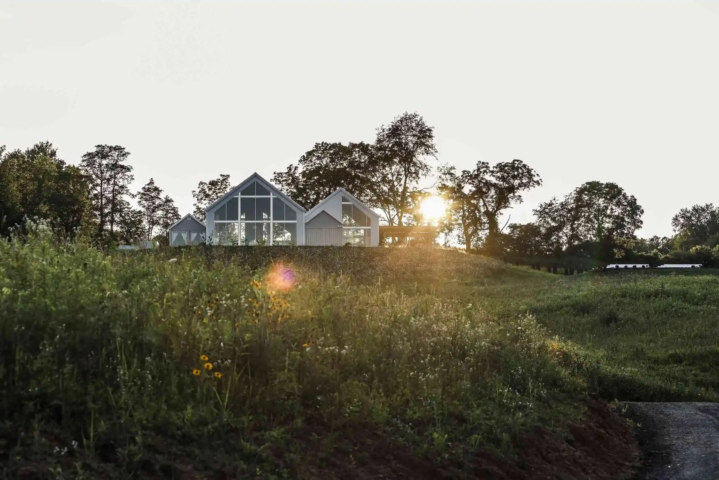 Modern wedding venue surrounded by wildflowers and scenic views
