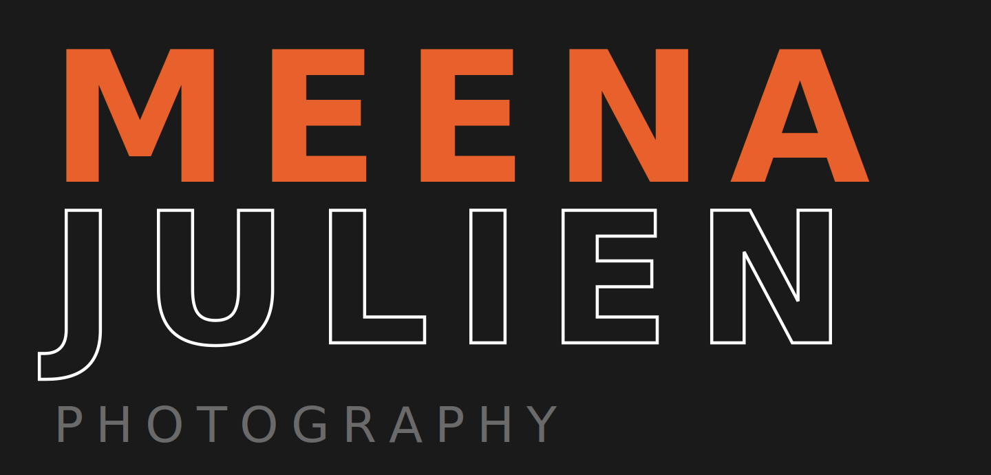 Meena Julien Photography