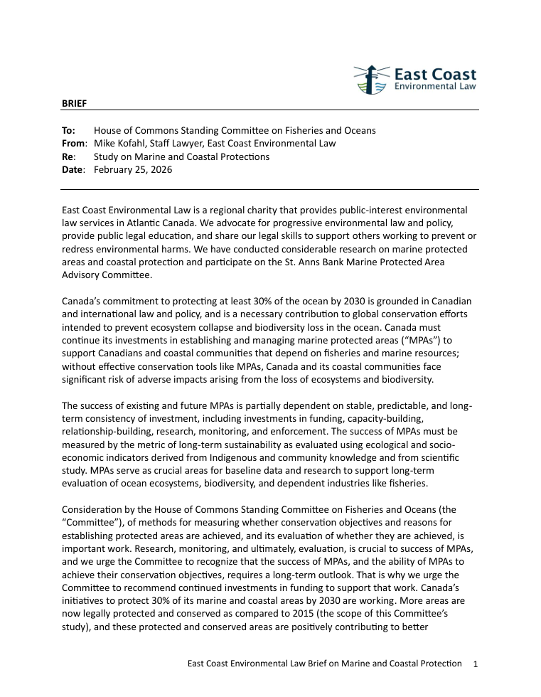 Brief to the Standing Committee on Fisheries and Oceans Re: Marine and Coastal Protections