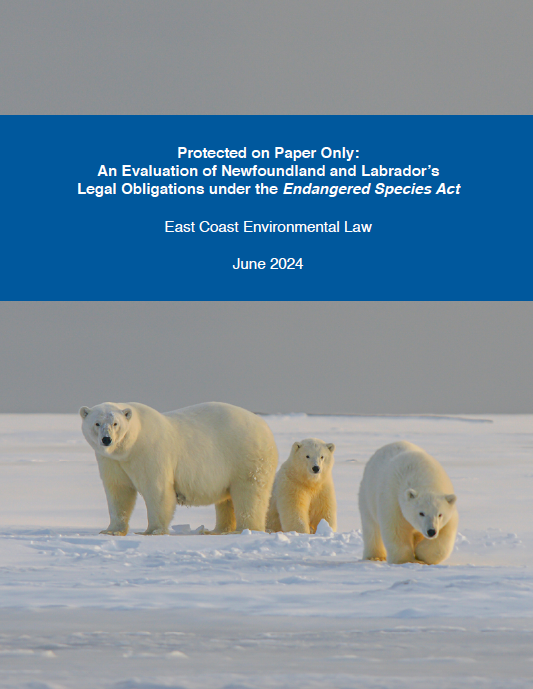 Evaluating the Government of Newfoundland and Labrador’s Performance in Protecting Species at Risk