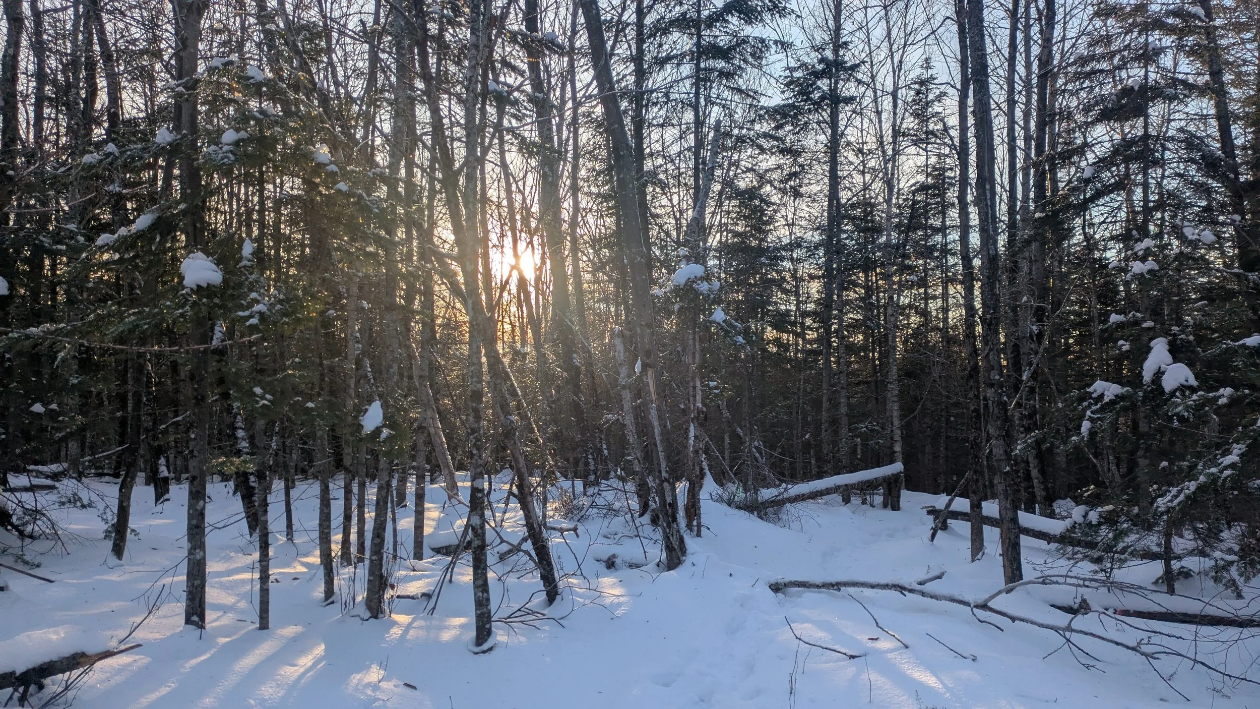 End of Year Reflections and Wishes For a Happy New Year