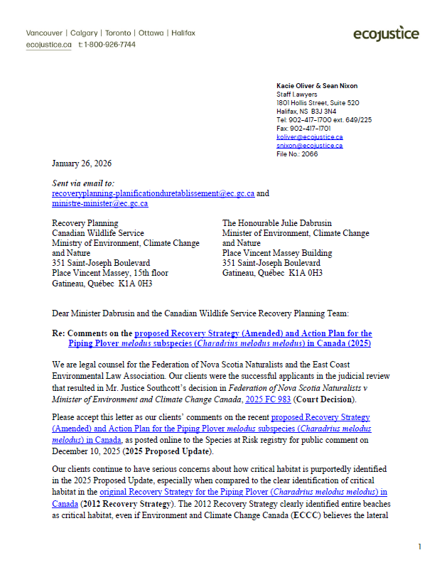 Comments on the Proposed Amended Recovery Strategy and Action Plan for the Piping Plover Submitted by Ecojustice on Behalf of East Coast Environmental Law and Nature Nova Scotia