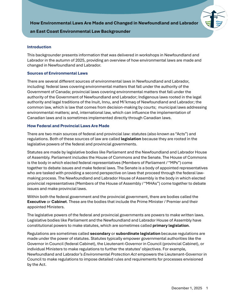 Backgrounder: How Environmental Laws Are Made and Changed in Newfoundland and Labrador