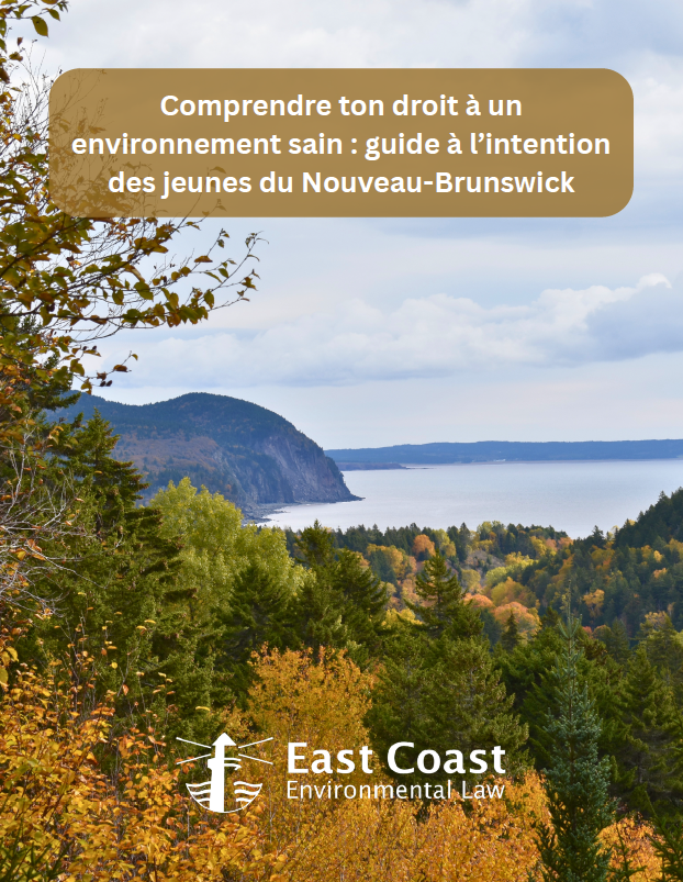 Comprendre ton droit à un environnement sain: guide à l’intention des jeunes du Nouveau-Brunswick