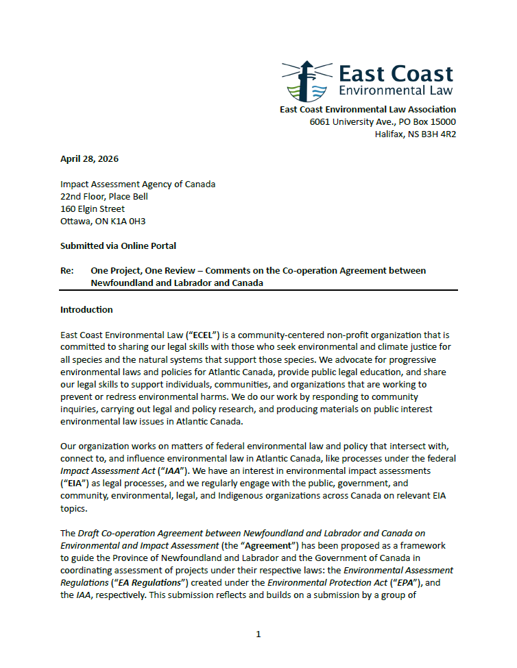 Submission to the Impact Assessment Agency of Canada: One Project, One Review – Comments on the Co-operation Agreement between Newfoundland and Labrador and Canada