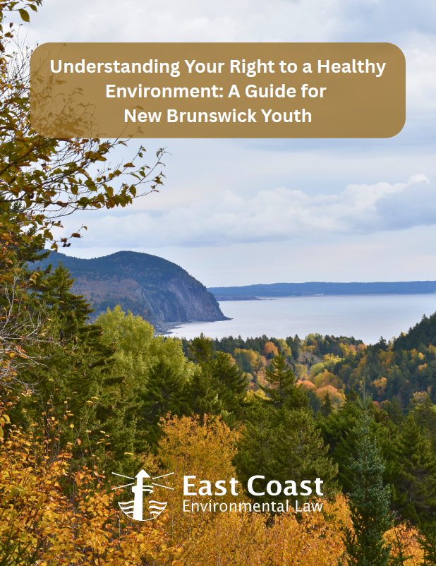 Understanding Your Right to a Healthy Environment: A Guide for New Brunswick Youth