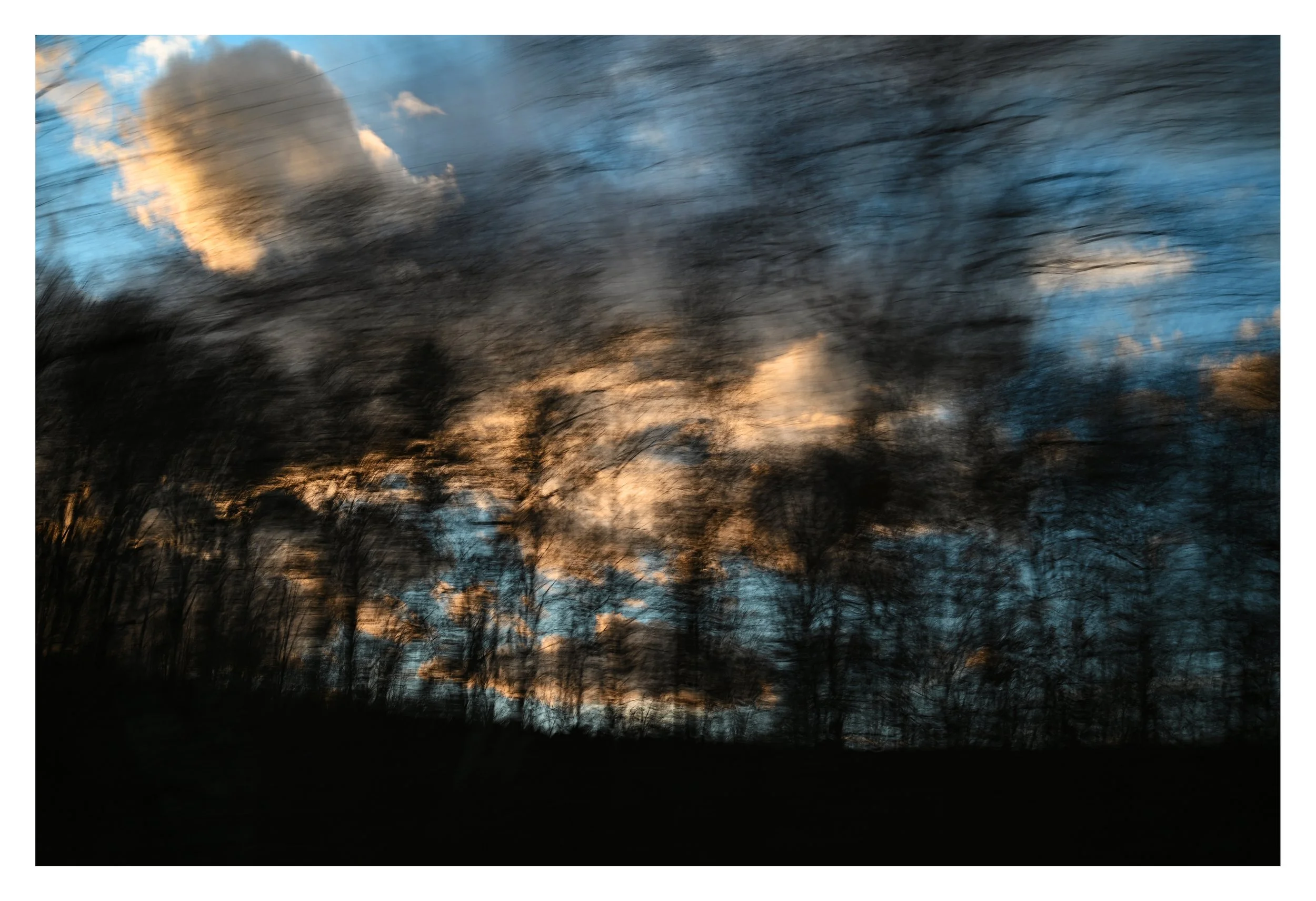 Wild Virginia.jpg