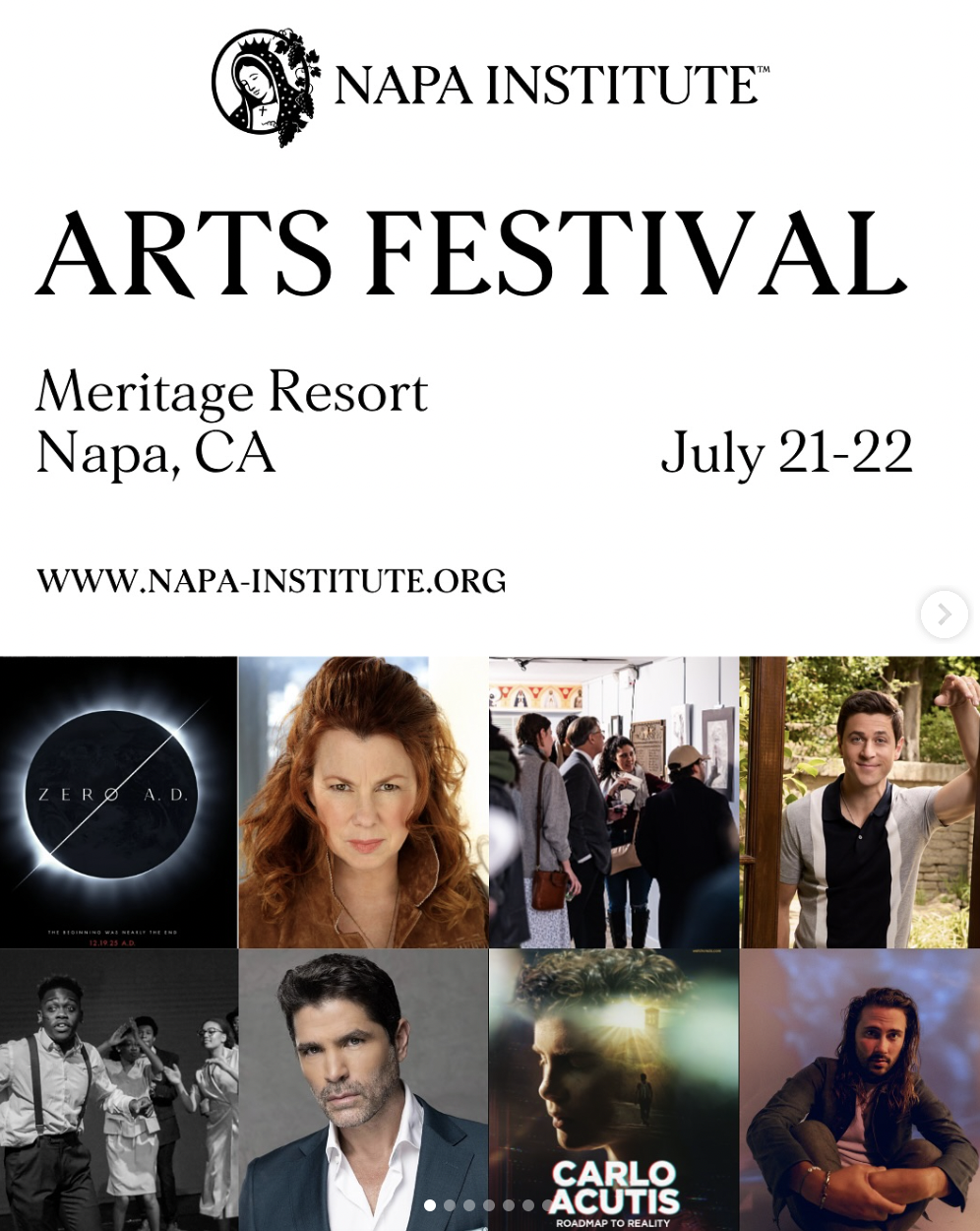 Napa Institute Arts Festival Gallery