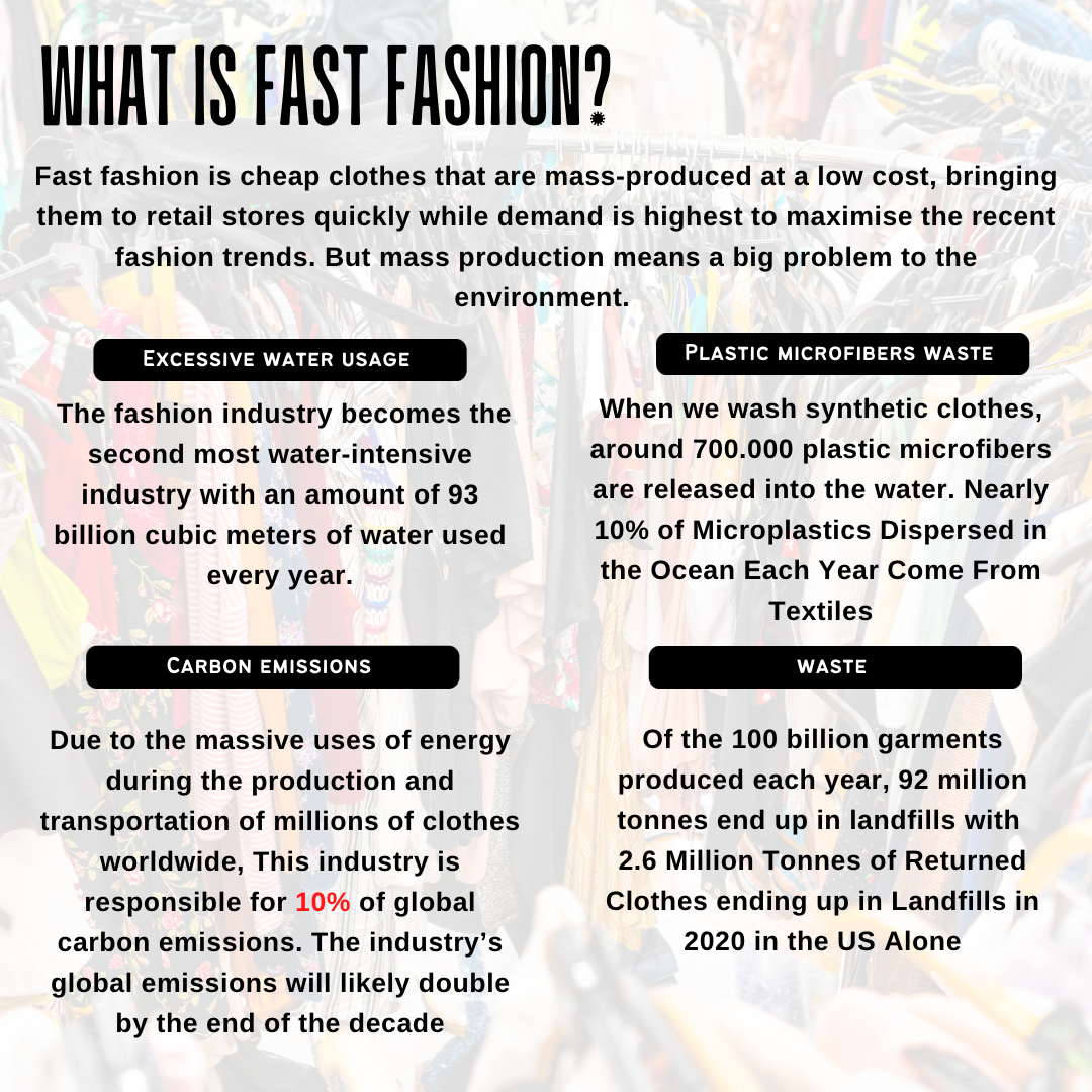 The Dark Side of Fast Fashion: Unmasking Its Environmental and