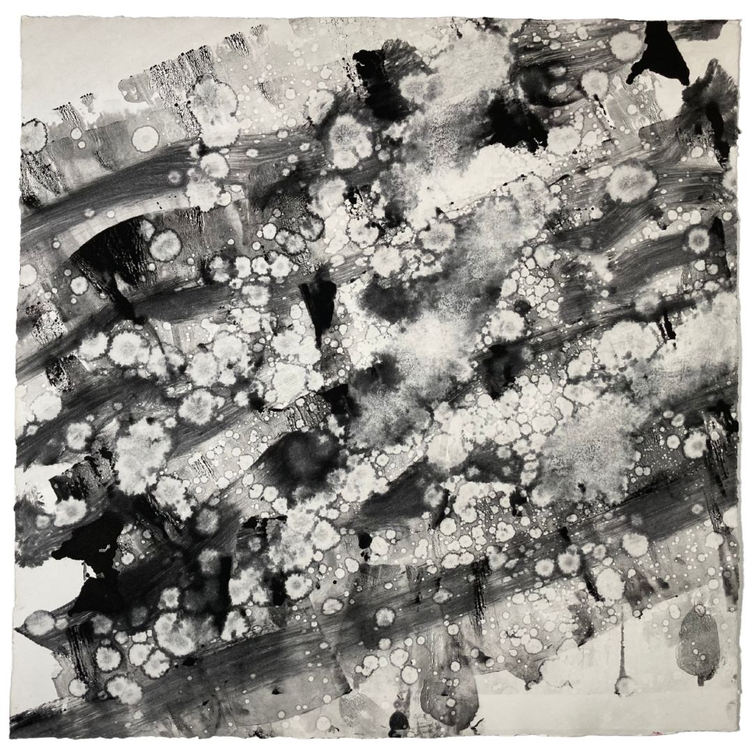719EC443-D496-445D-B809-53FF66DCD9BF.png