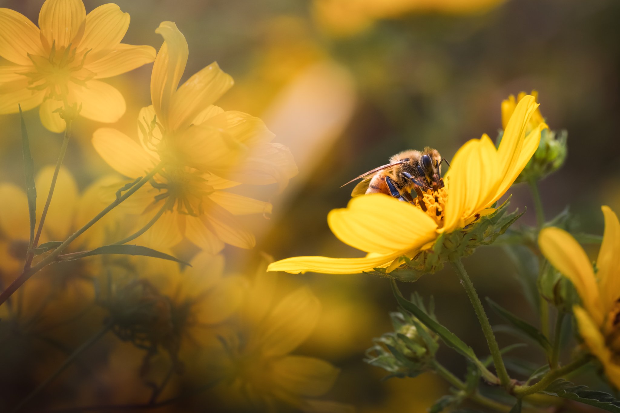 I found this going through my backlog and it made me smile. I hope you find something that makes you smile today!

New Jersey
📸 September 2022
.
.
.
#clickcommunity #womencapturemagic #naturephotography #newjersey #naturephotography
