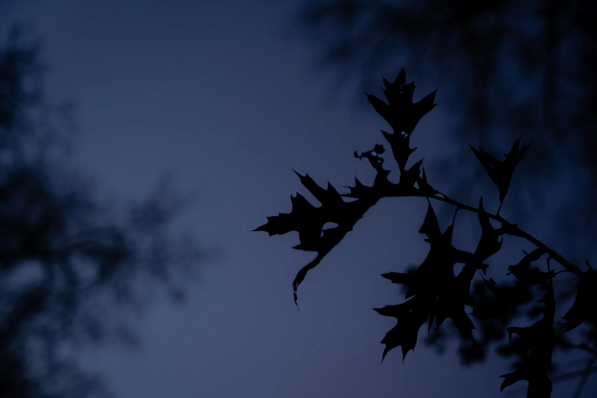 &ldquo;We require darkness for birth and growth: the seed in the ground, the seed in the womb, the seed in our souls. In the dark lie possibilities for intimacy, for rest, for healing. &hellip;the sacred presence is there, breathing in the shadows. T