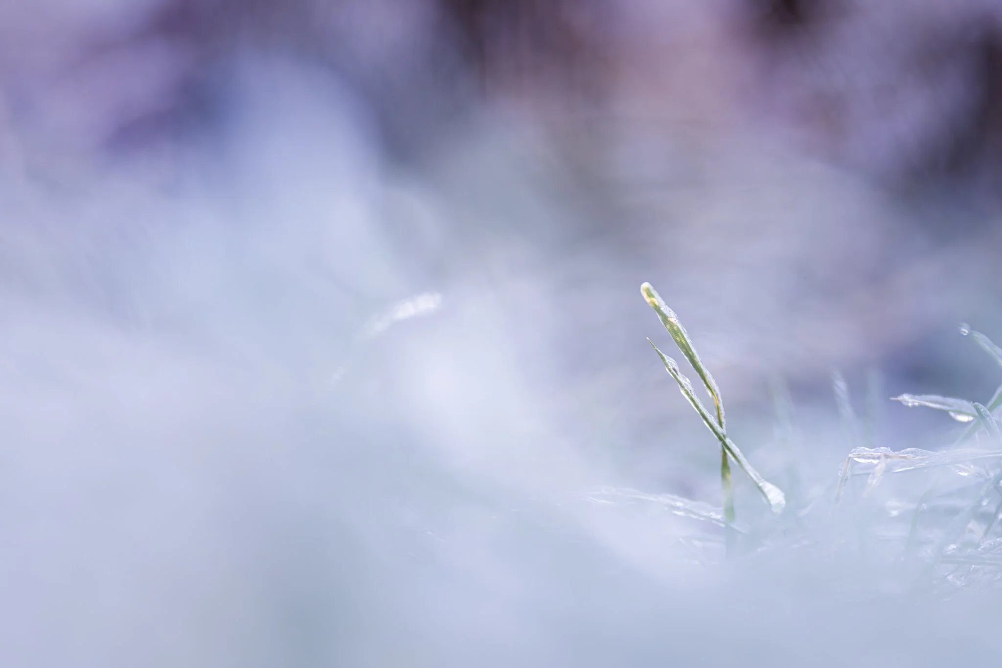 Happy New Year, friends! I hope this year ahead holds joy and blessings for you.

New Jersey
📸 December 2025
.
.
.
#clickcommunity #womencapturemagic #naturephotography #newjersey #naturephotography #sonyalpha #lensbaby #shootextraordinary
