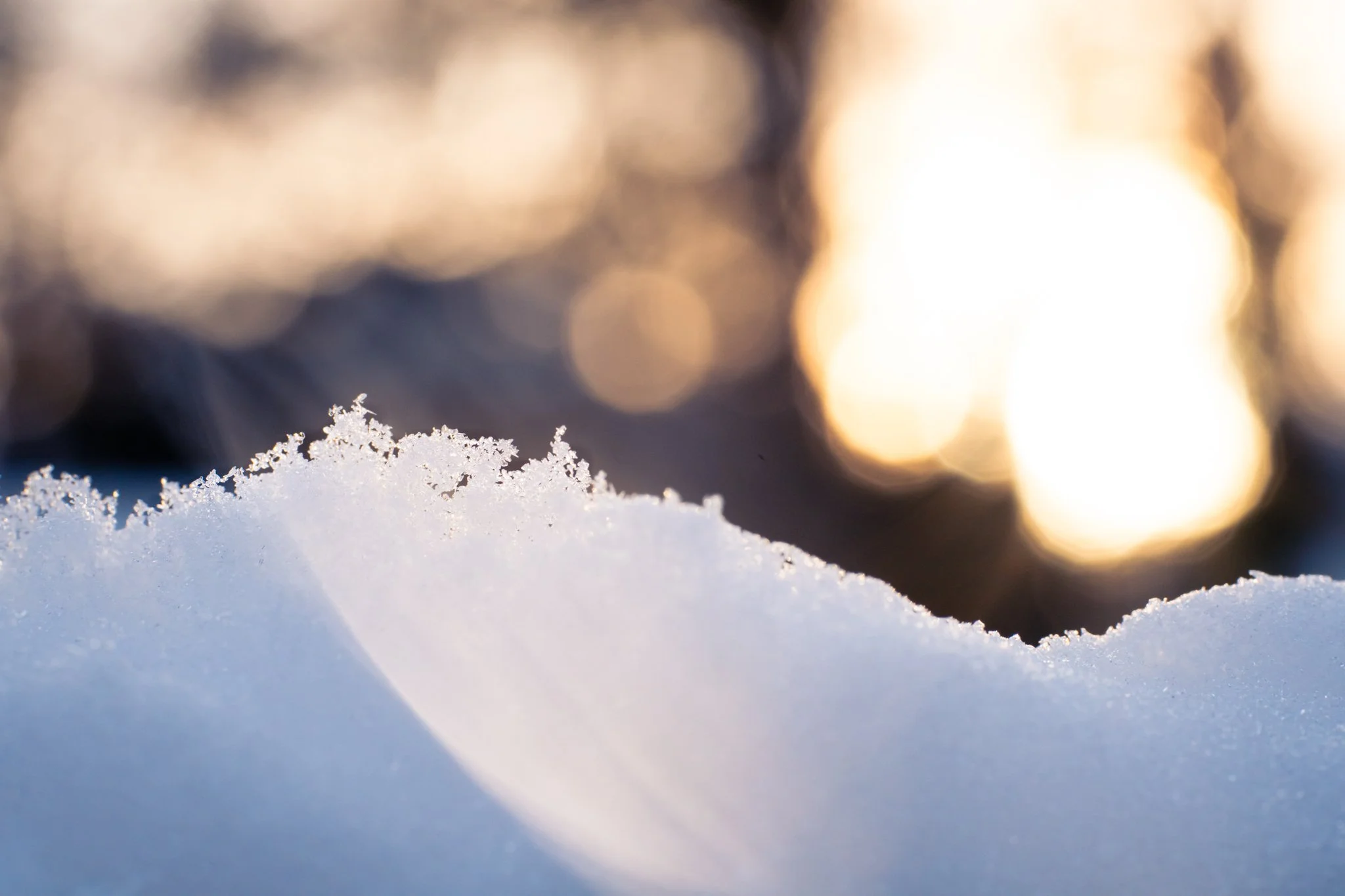 &ldquo;In this part of the country,
under fourteen inches of snow,
[the groundhog] isn't even up yet.
Today all he knows is sleep is good for now.&rdquo;

- Steve Garnaas-Holmes

New Jersey
📸 January 2024
.
.
.
#clickcommunity #womencapturemagic #na