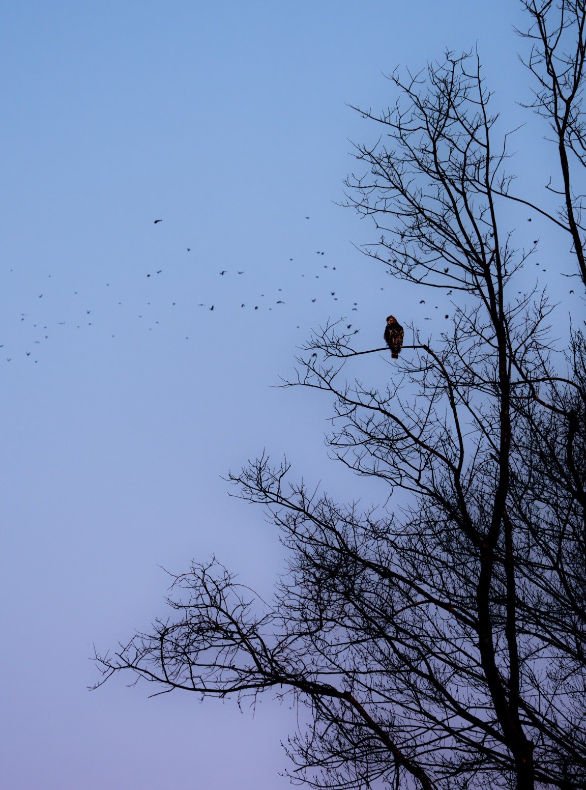 &ldquo;There&rsquo;s a springtime light, in early March, that isn&rsquo;t present the rest of the year.

In this light, a distinctive color appears everywhere (say, on the quiet, empty fields); science can&rsquo;t account for it, but we feel it nonet