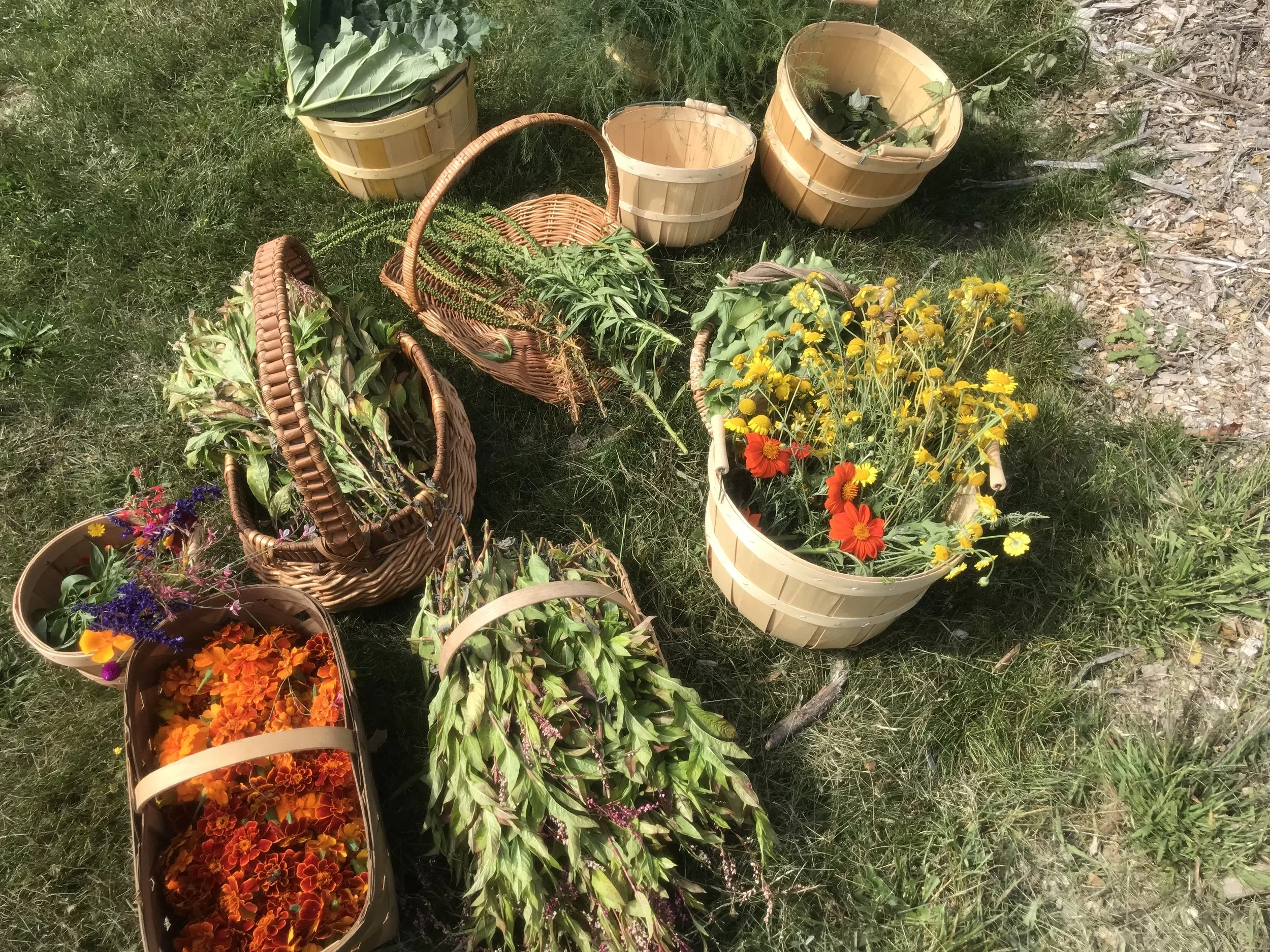 Herbal Goddess Immersion - Virtual <3 3/16/26