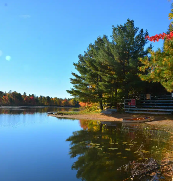 Elbow Lake in Frontenac - Forest Therapy Mini Retreat