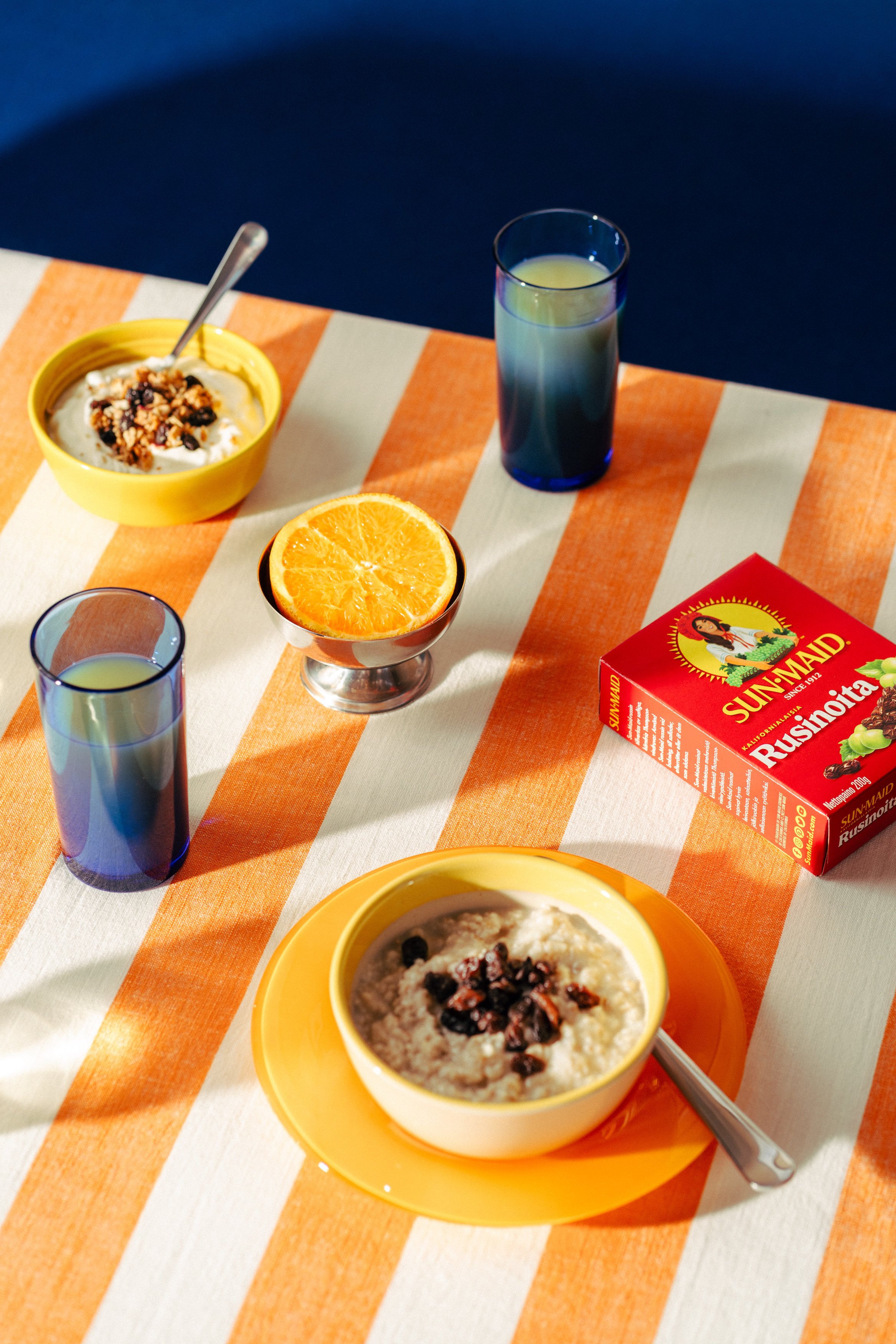 sun-maid-v2-7 (1).jpg