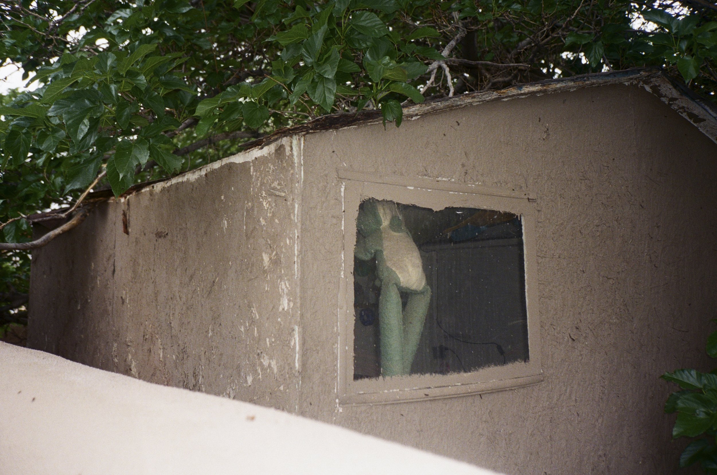 24-09-24_DZ_Journey to Cali_03.jpg