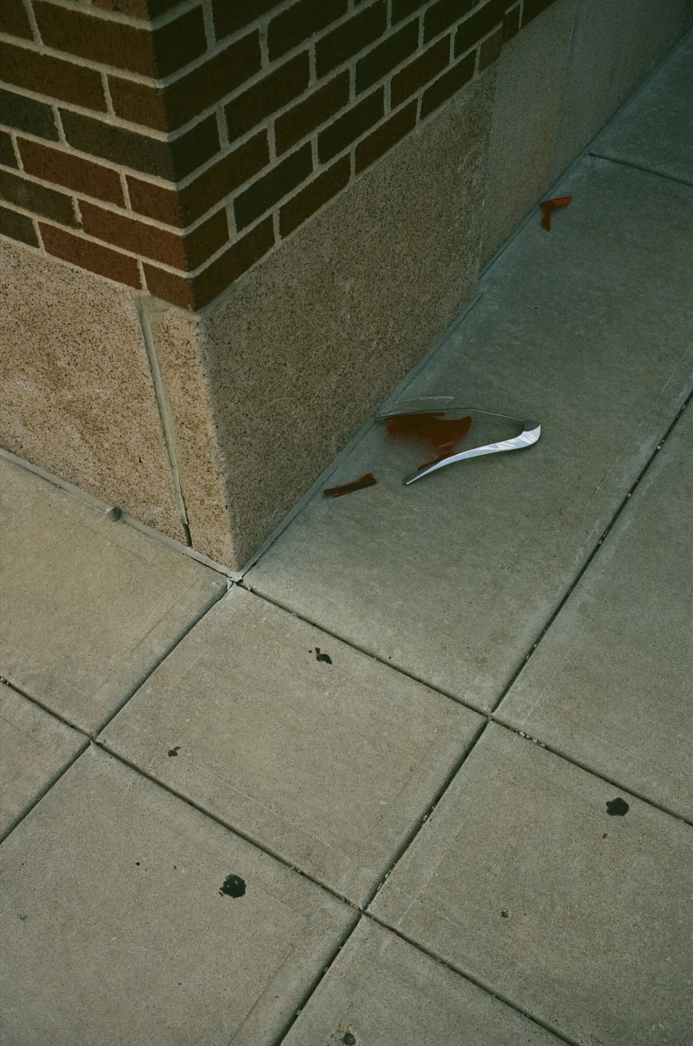 24-09-26_DZ_Journey to Cali_28.jpg